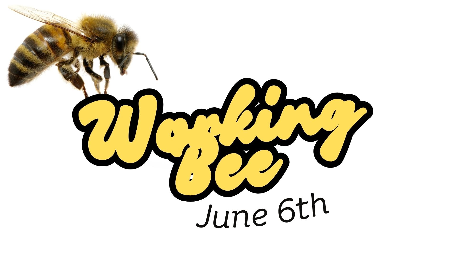 Working Bee