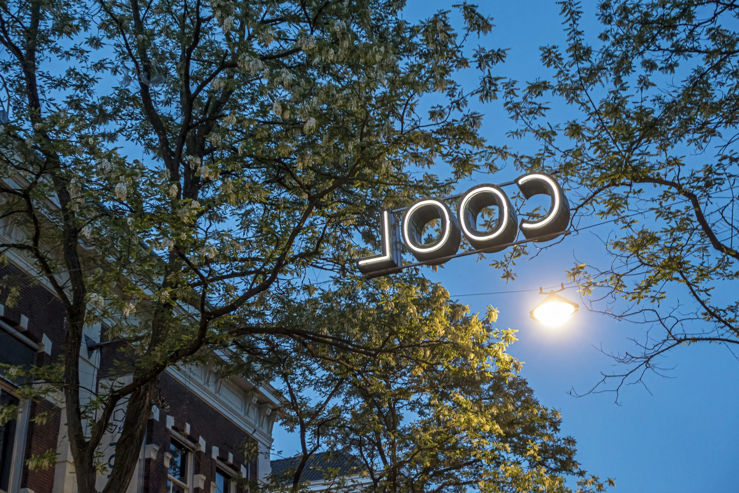Roparun 2027: Samen gaan we de uitdaging aan!