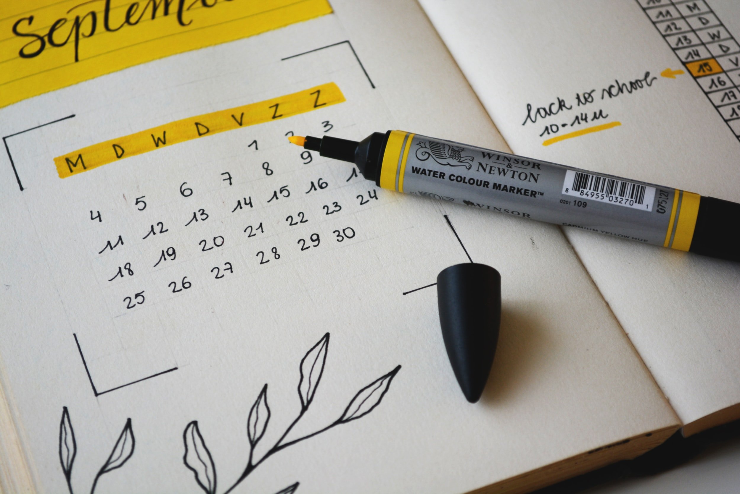 Plan out your day and how to avoid shiny objects!