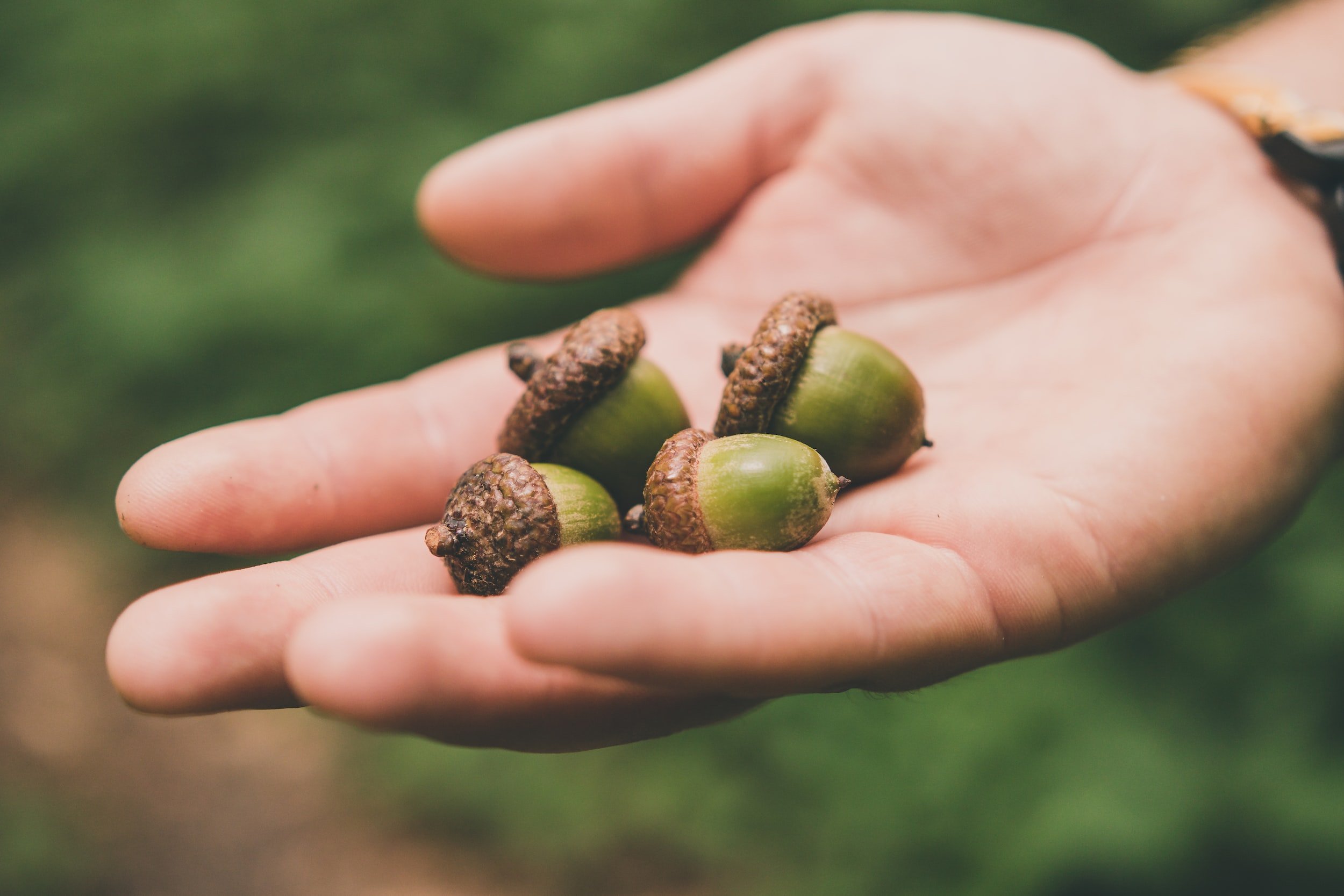 All big things come from small beginnings.