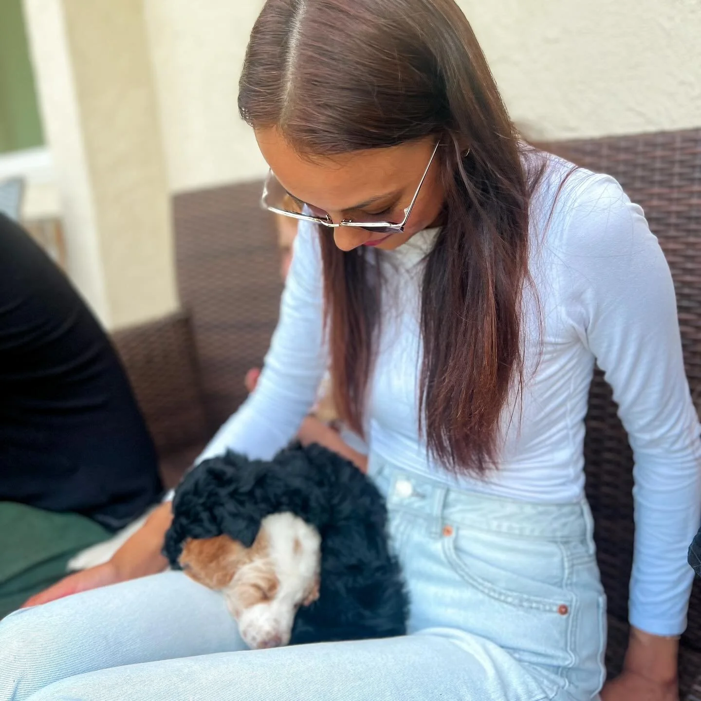 Aunt Angie visited the pups today and they cozied right up on her lap for a nap 😍 These little ones are SO cuddly! 

#goldendoodlepuppy #goldendoodles #goldendoodle #goldendoodlesofinsta #soacecoastliving #spacecoastfl
