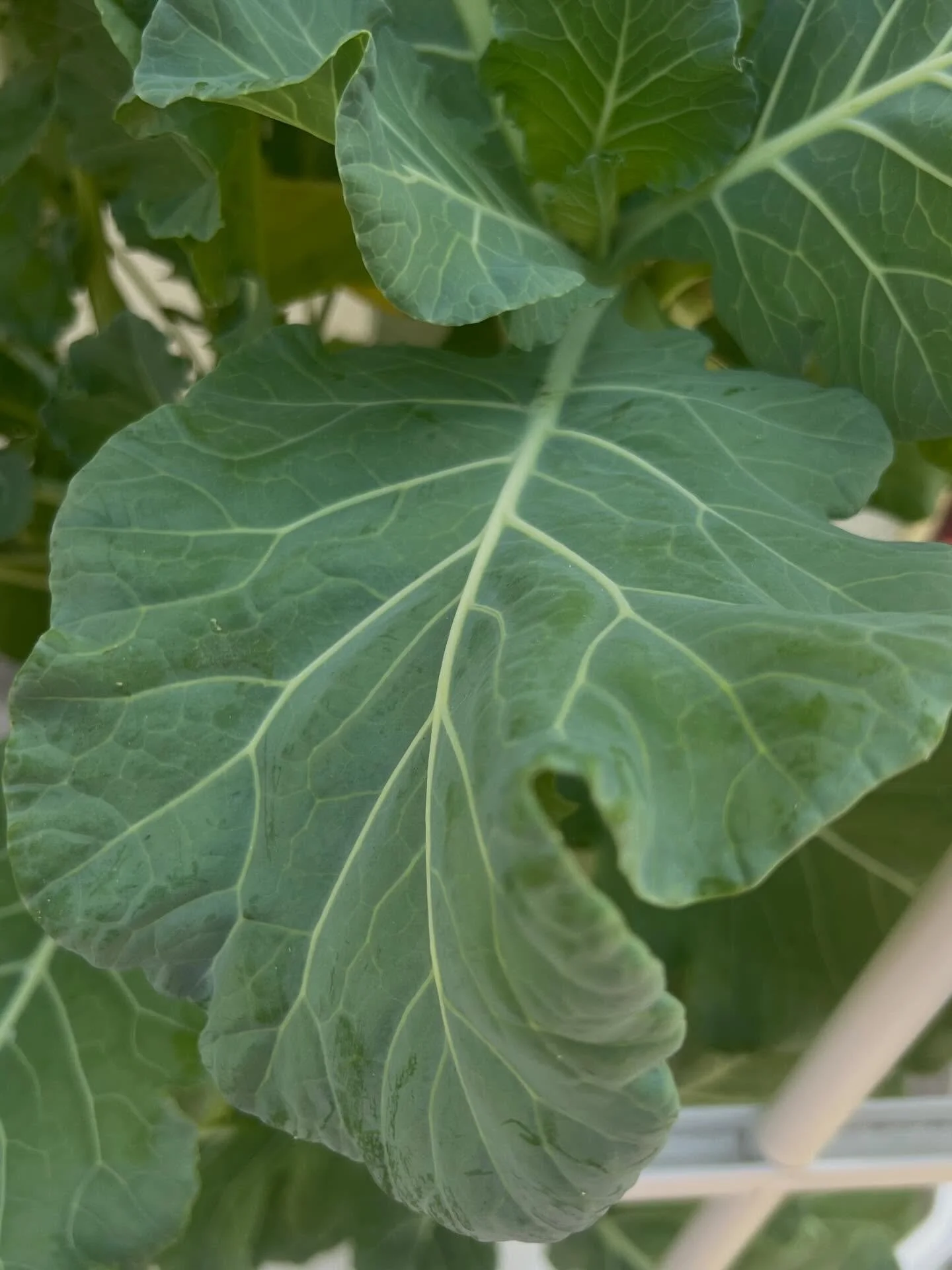 Snaps from today ☀️