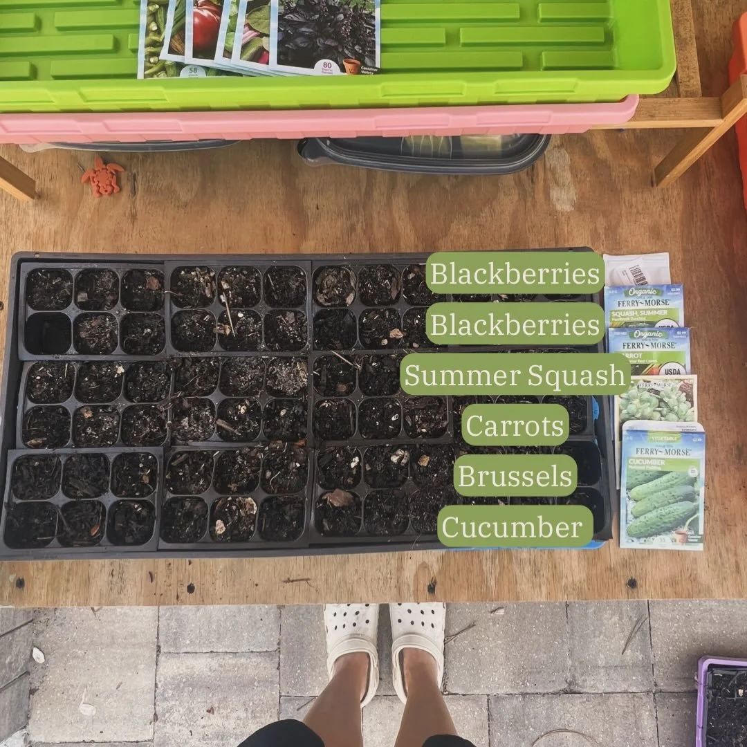 03.27.2026 - I&rsquo;m not always the best at the growing, but I sure do love planting seeds 🌱 ☺️ The kids played outside, made more &ldquo;dishes&rdquo; out of clay, and Rose laid by me while I got another tray of seeds started. We are on puppy wat
