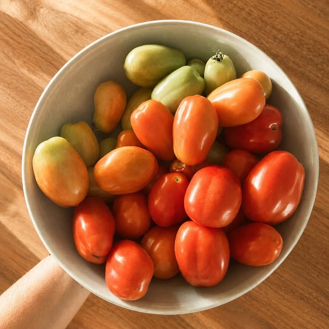 Some of our tomato harvest recently 🍅 

#towergarden @towergardenofficial #gardening #garden #gardenlife