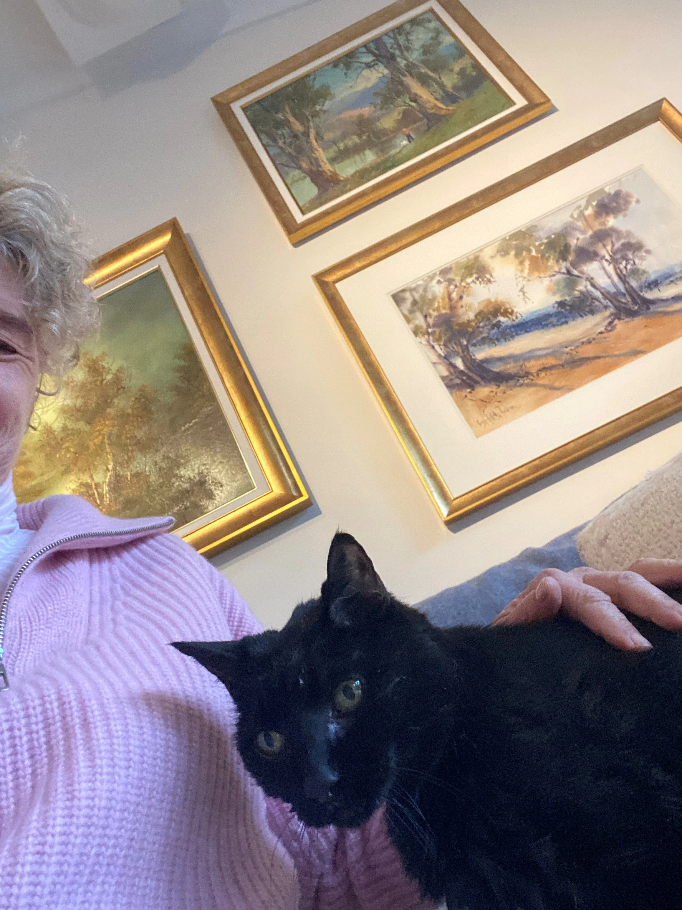 A Note on the Passing of Sheba: Is it normal to feel guilt when a pet dies?