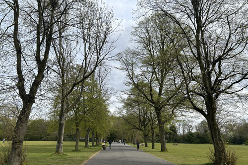 Where To Parkrun In Manchester