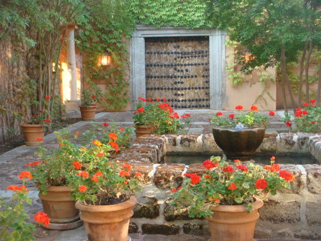 DSC07635.JPG