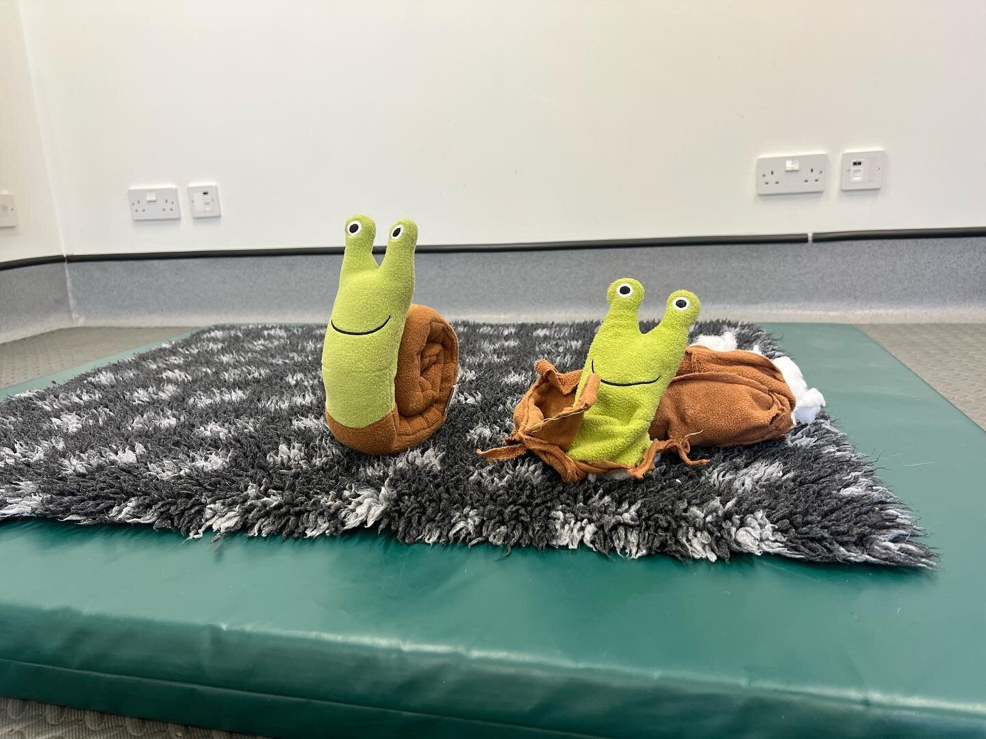 Meet Brian the snail (mark two) on the right in this picture, our beloved dog toy that has been entertaining our patients for months. 😍🐾
However, Brian recently met his match with Miss R, a lively terrier who has been visiting our clinic. Miss R ha