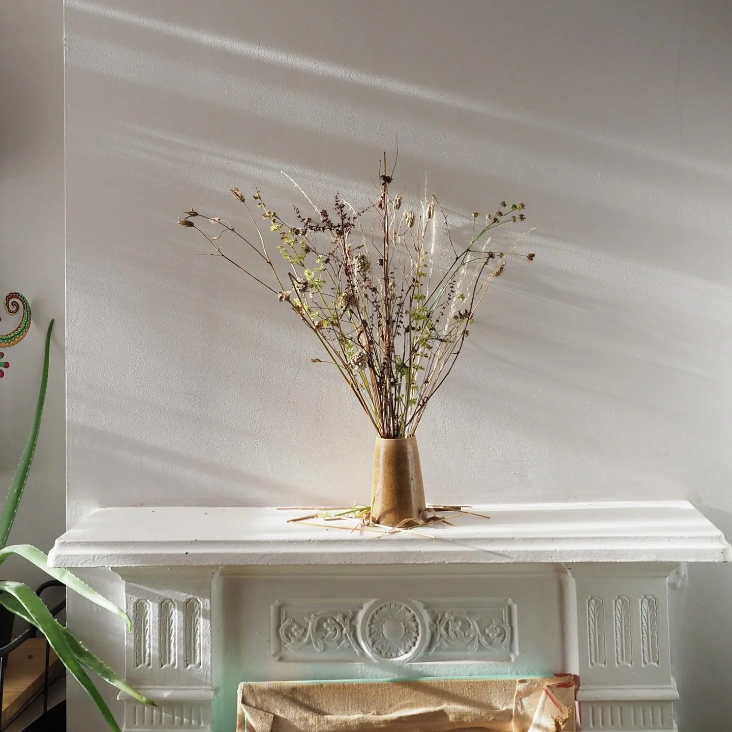 Been playing with weedy and seedy things. Summer&rsquo;s end, though some of these &ndash; the docks, the aquilegias &ndash; have been standing proudly in the beds for months, while others &ndash; lemon balm, althaea &ndash; have more recently gone o