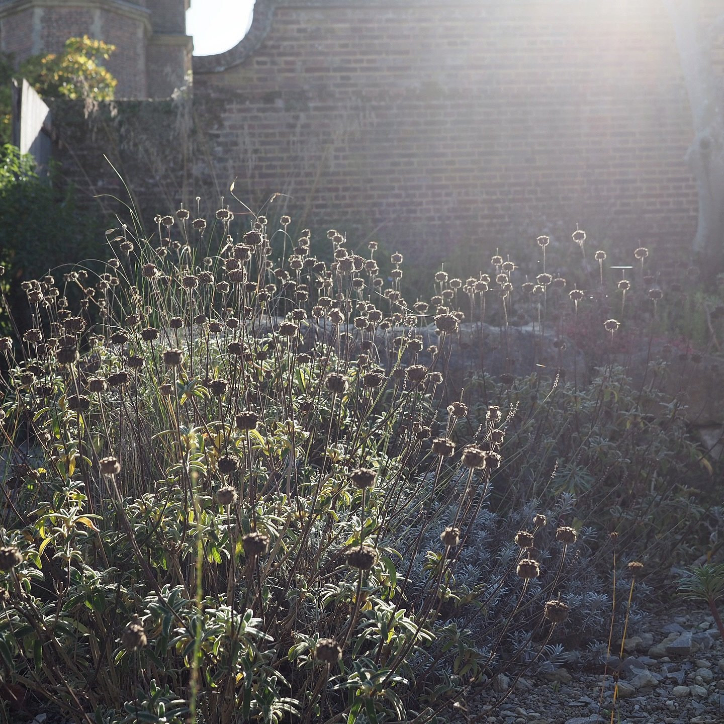 I know I can bang on a bit about how generally fabulous October is, but I can never quite get over the light. And Wednesday was dull and grey, almost as if the weather knows that too much of a good thing might be injurious to what's left of my sanity