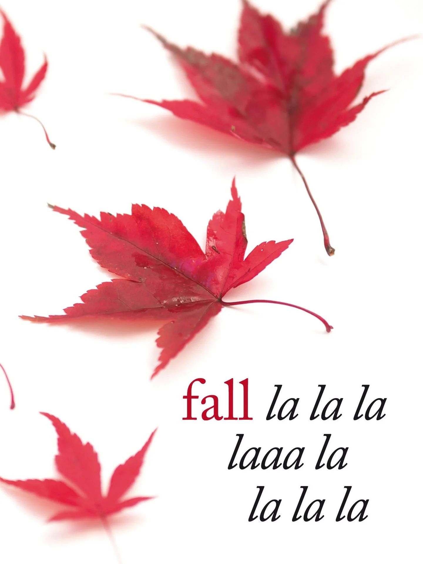 Christmas gets all the glory &ndash;&nbsp;well, Thanksgiving in the US, too &ndash;&nbsp;but to me it always feels as though nature parties right through the whole back end of the year, ending with glistenings and twinklings, but starting here, with 