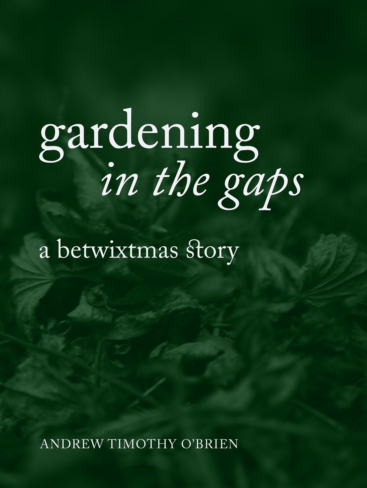 I find the garden tapping on my shoulder at this time of year. Gently at first, then more insistently once Boxing Day walks and official festivities are mostly behind us, so that it&rsquo;s rare for me to be more than a day or so into that freewheeli
