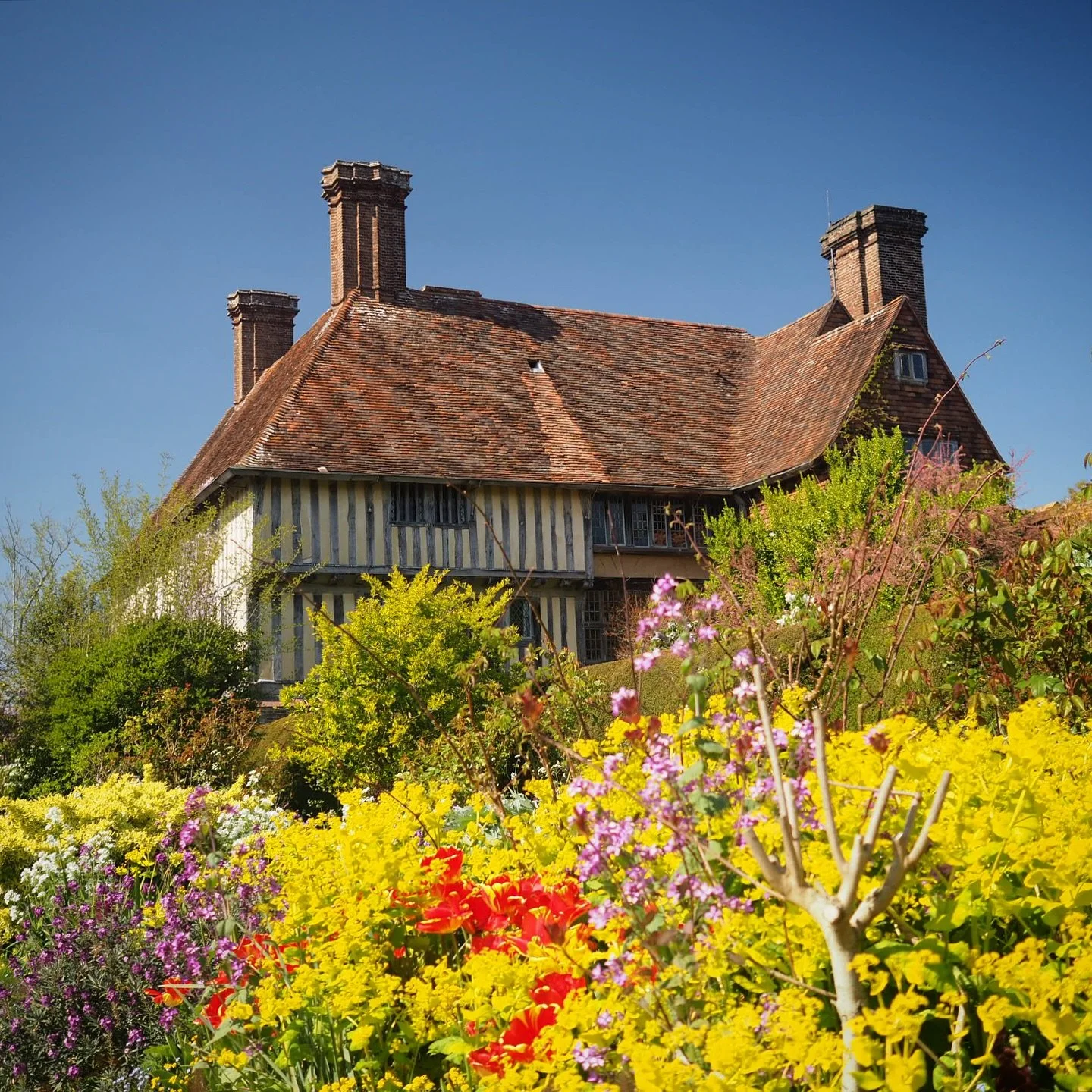 Glorious weather for a quick mooch around @greatdixterofficial earlier in the week, in the company of that there @_andy__w. The solar and long border were an absolute custard-fest &ndash; wave upon wave of bright gold perfoliate alexanders. Though yo
