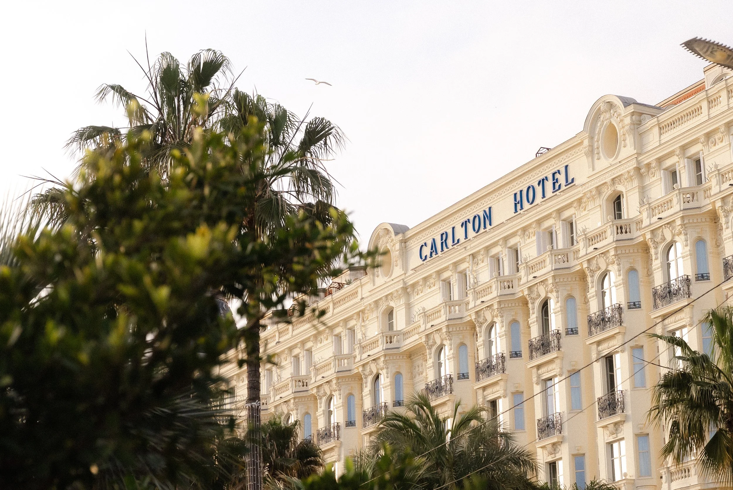 Cannes-2026-2.jpg
