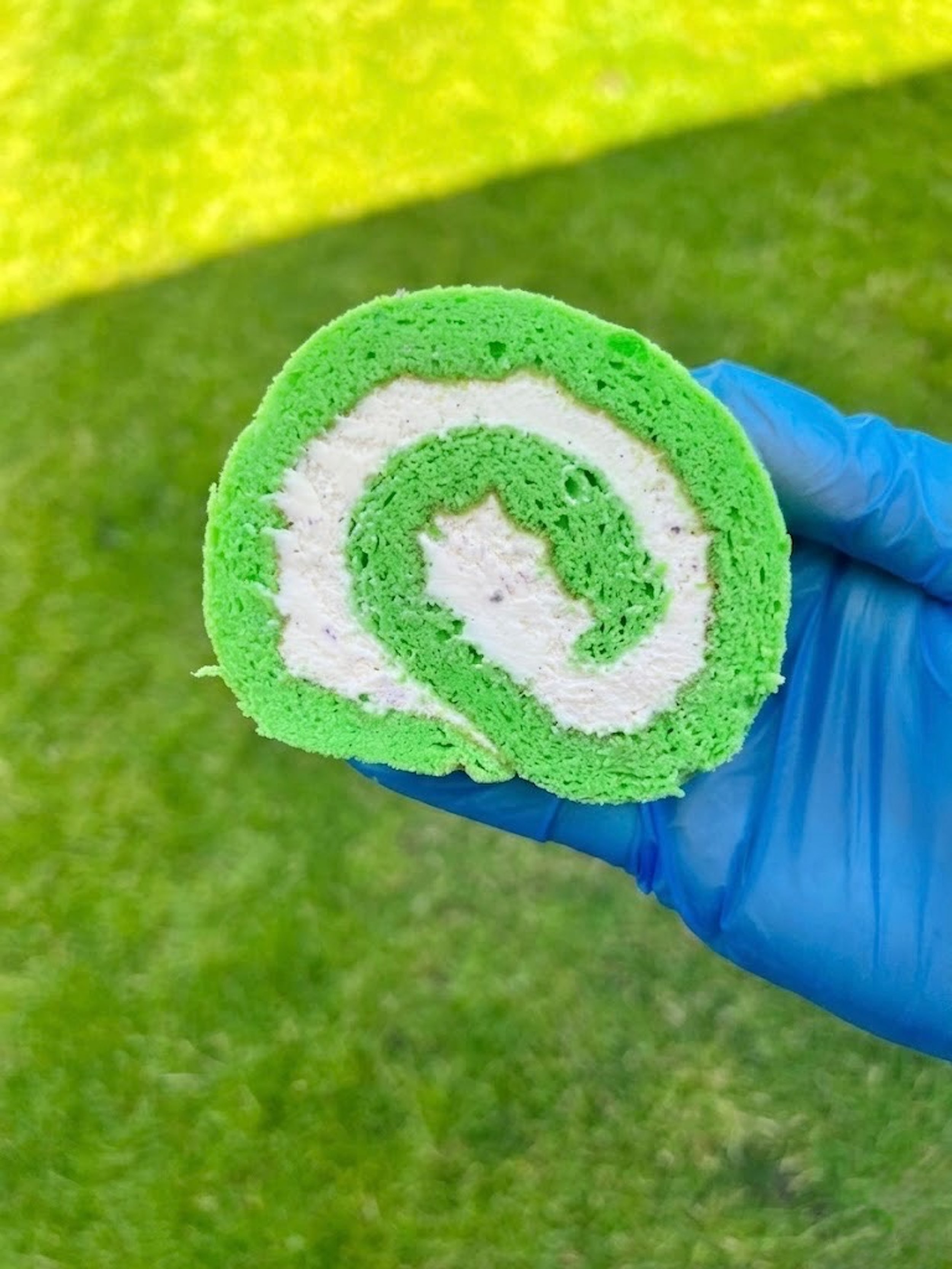 Pandan roll cake.jpeg