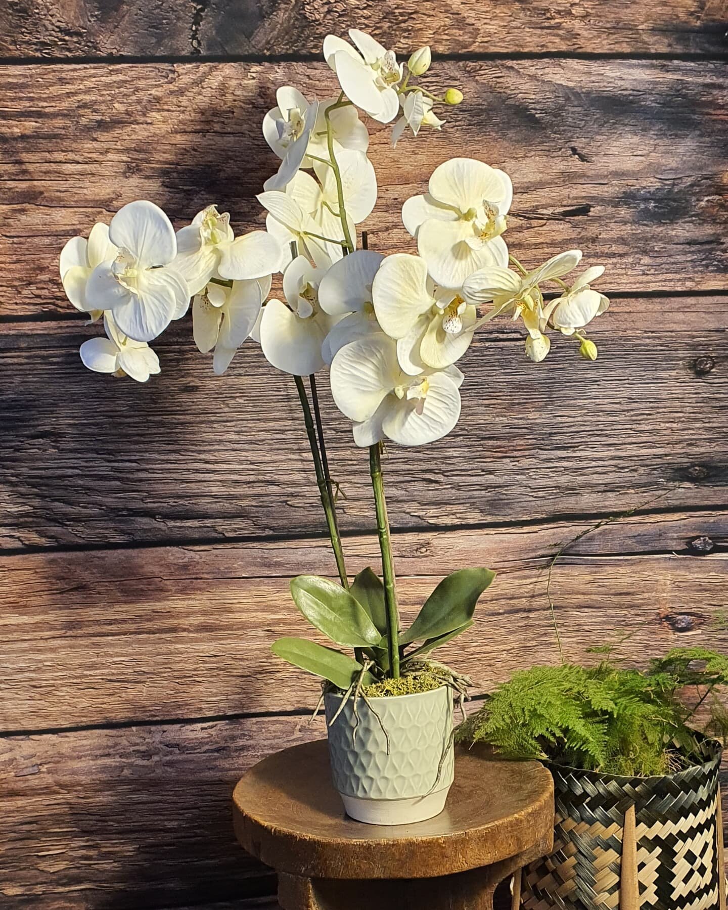 Just had some lighting arrive so that I can take professional product photography (hopefully!). 

This was my first attempt, showing some gorgeous faux orchids.

These will be coming to the website soon. 

In fact, the new online website and store is