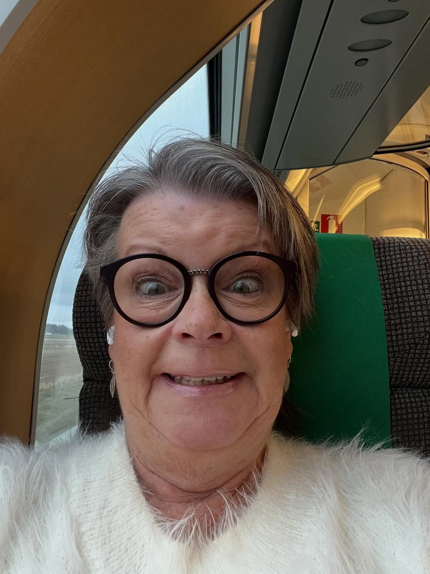 En av mina grundv&auml;rderingar &auml;r att vara sn&auml;ll. Det betyder inte att jag &auml;r mesig eller bl&aring;&ouml;gd.  Idag blev jag s&aring; h&auml;r glad p&aring; t&aring;get n&auml;r kondukt&ouml;ren gav mig en komplimang f&ouml;r min &rdq