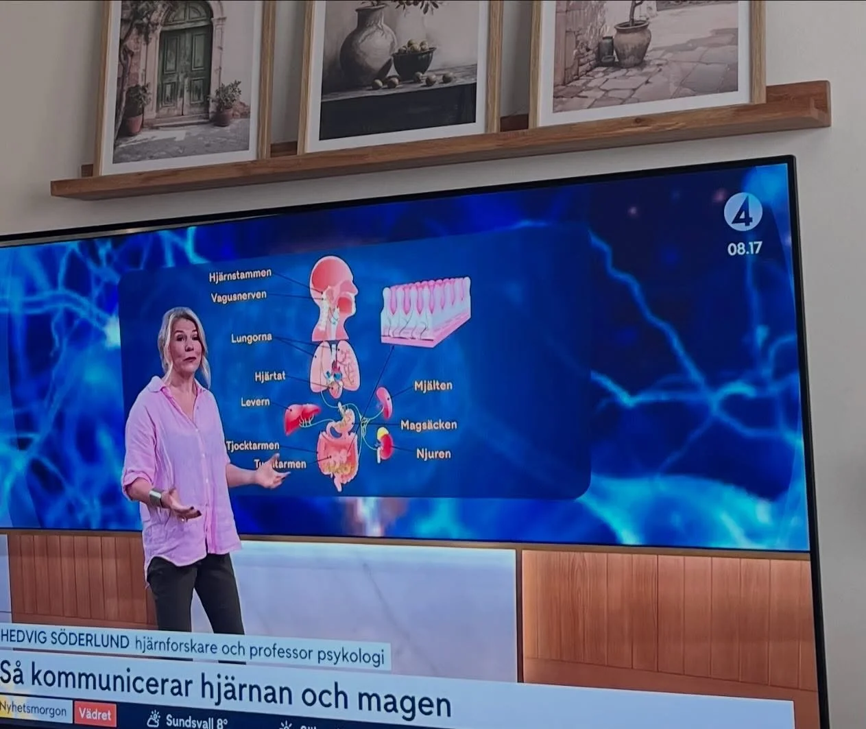 I morse ber&auml;ttade Hedvig S&ouml;derlund i Nyhetsmorgon om kopplingen mellan hj&auml;rna och mage. Vagusnerven &auml;r som en motorv&auml;g emellan som sk&ouml;ter all kommunikation. 
Har du varit stressad n&aring;gon g&aring;ng och f&aring;tt v&