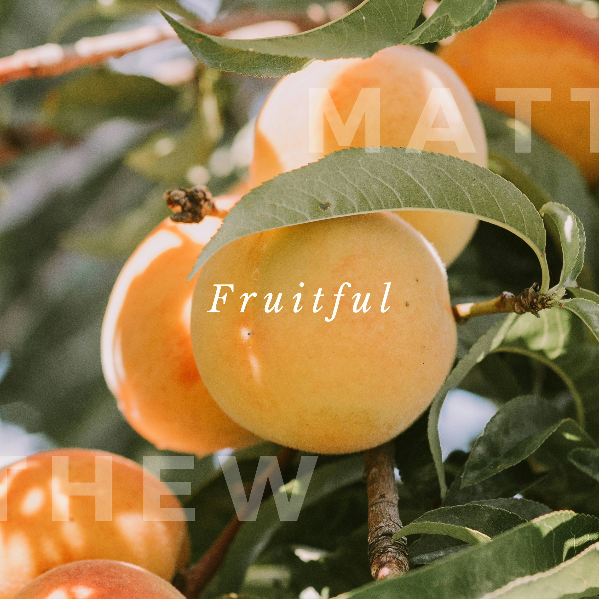 Jesus’ teaching on marriage and divorce