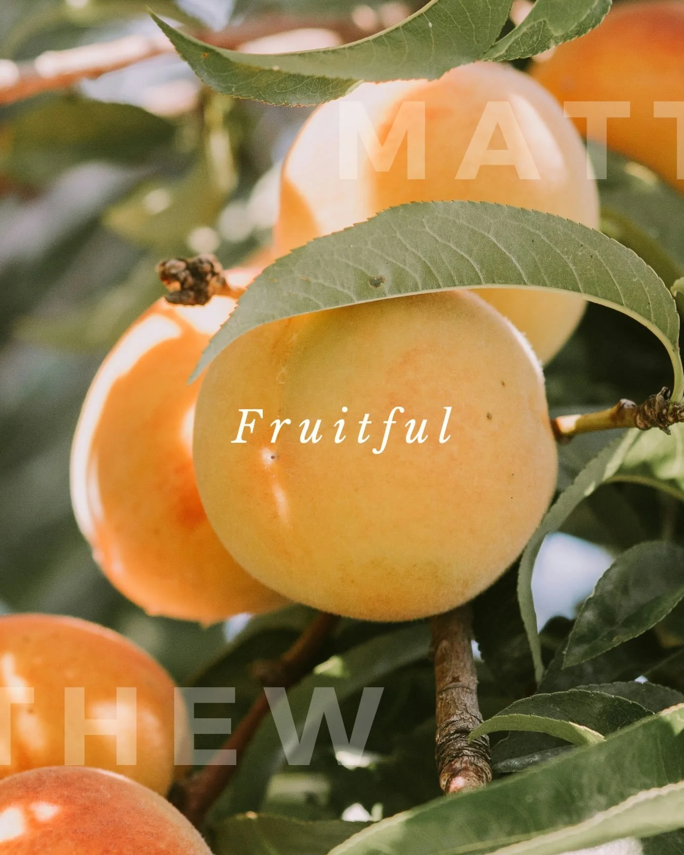 NEW SERIES this Sunday morning. We kick back in Matthew&rsquo;s Gospel, where we meet Jesus dealing with questions that come thick and fast. Come and hear how he answers back!