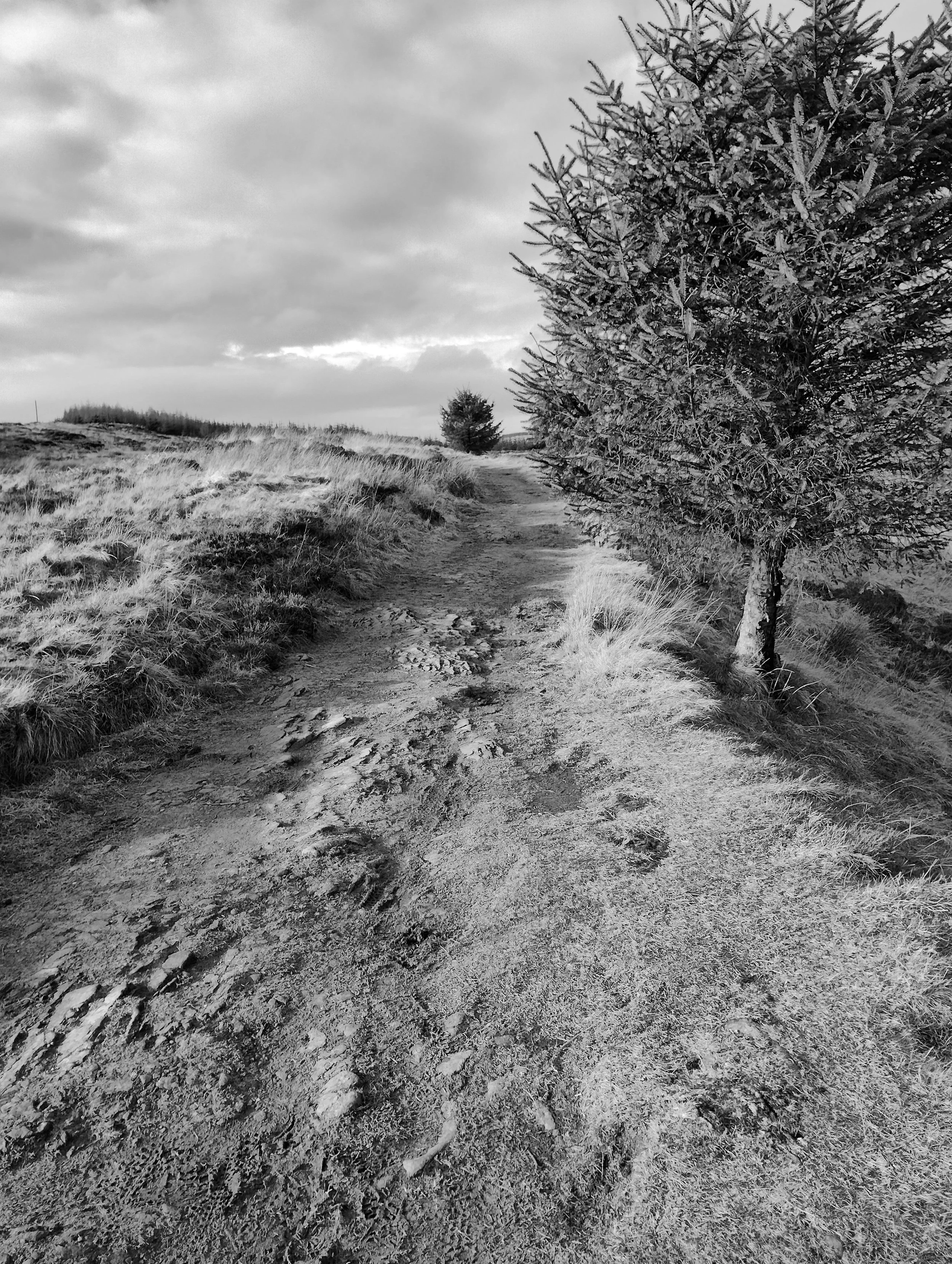 Coffin Road