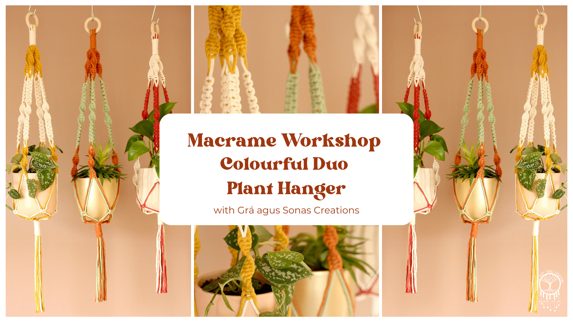 Macrame Plant Hanger Workshop