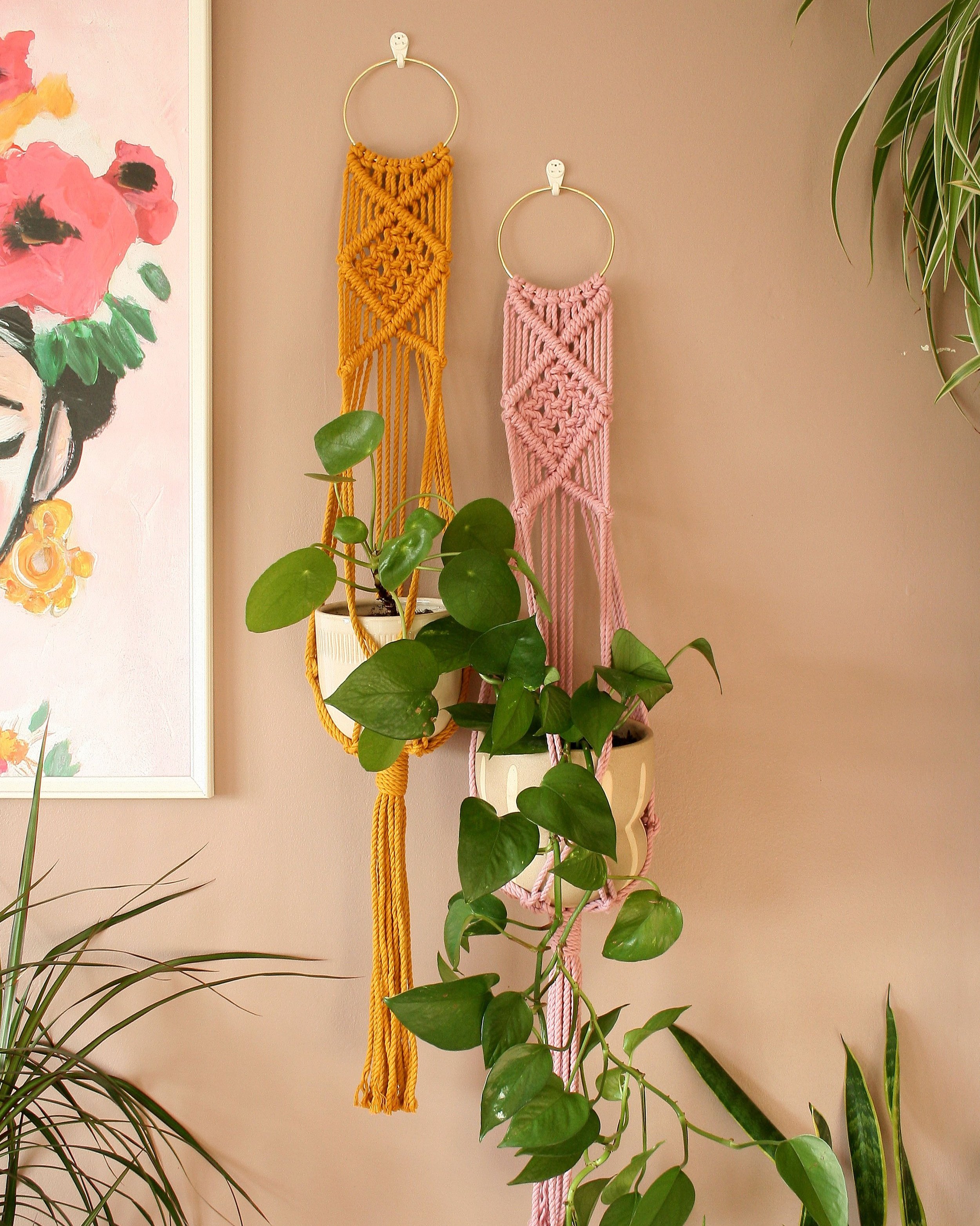 Divinity, Macrame Plant Hanger