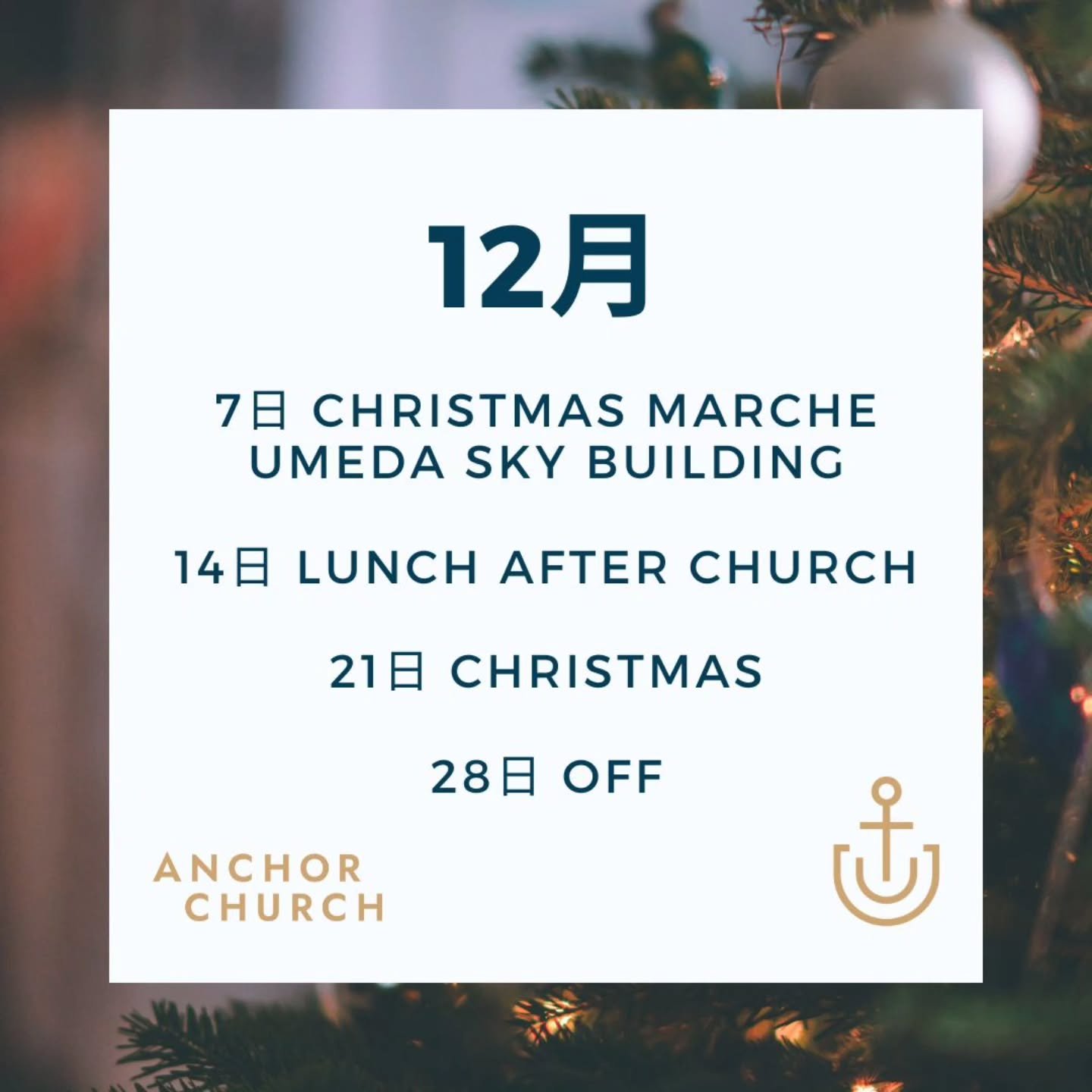 12月の予定です✨
みなさん気軽に遊びにきてね〜🤗

#internationalcommunity 
#church 
#internationalchurchinjapan 
#internationalchurchinosaka 
#kidschurch 
#familycommunity 
#christmas