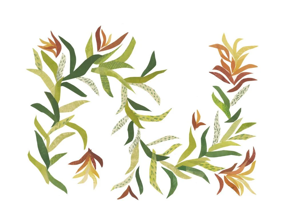 "Fireweed", monoprint, 2019