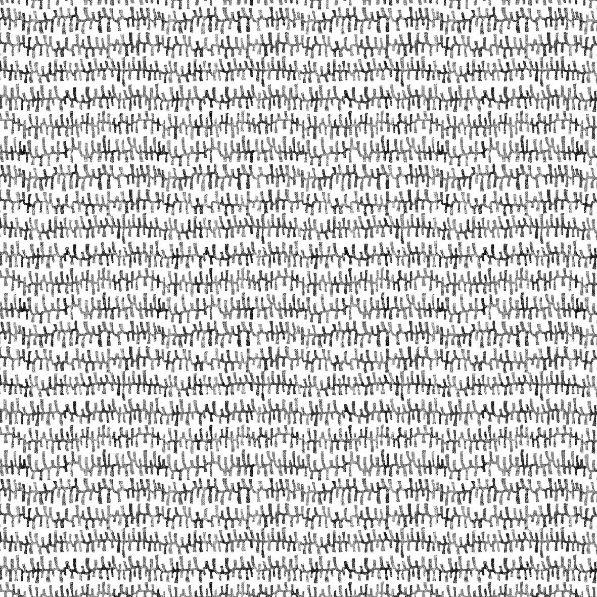 Image 546.jpeg