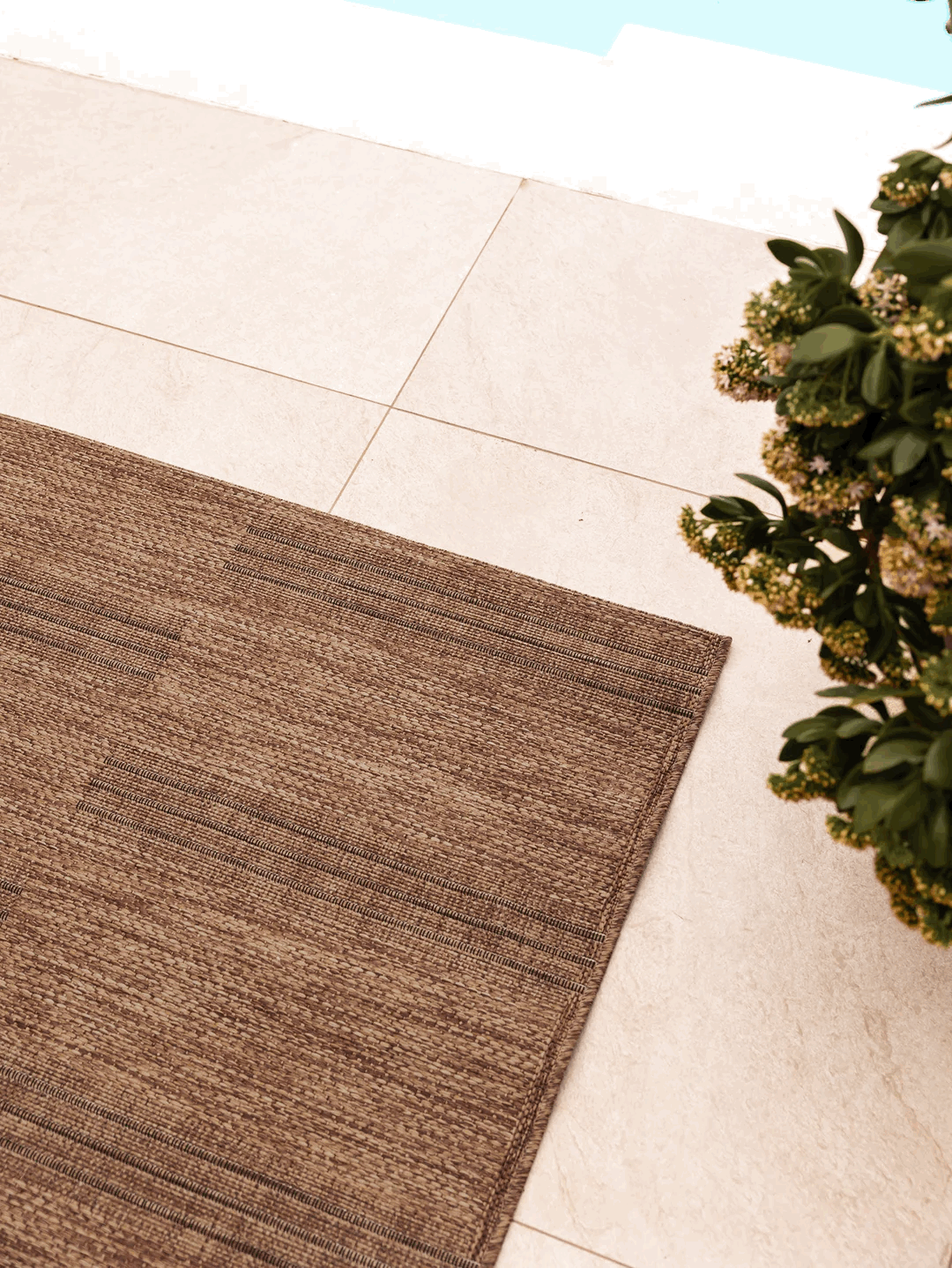 Liam Outdoor Rug in Straw