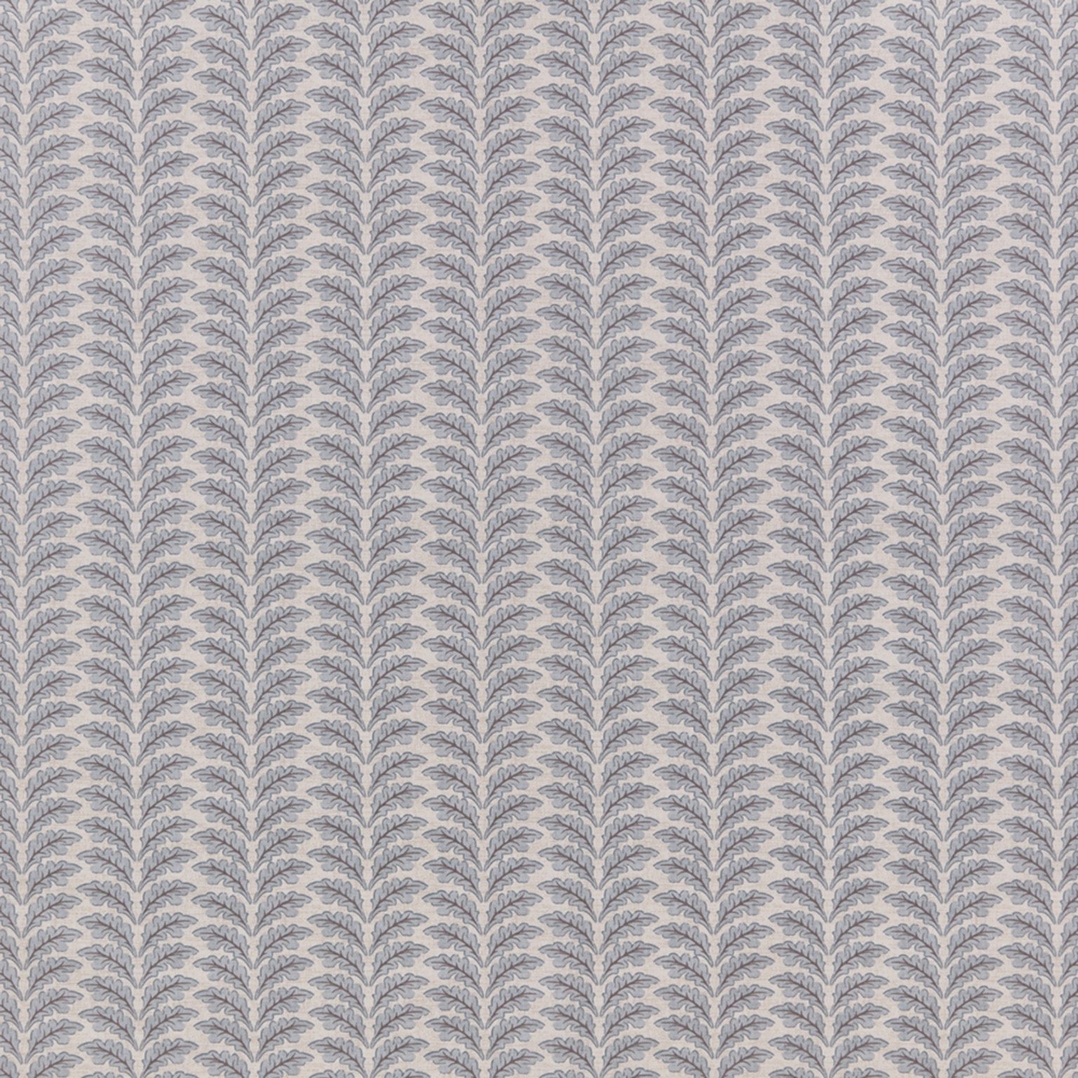 Image 908.jpeg