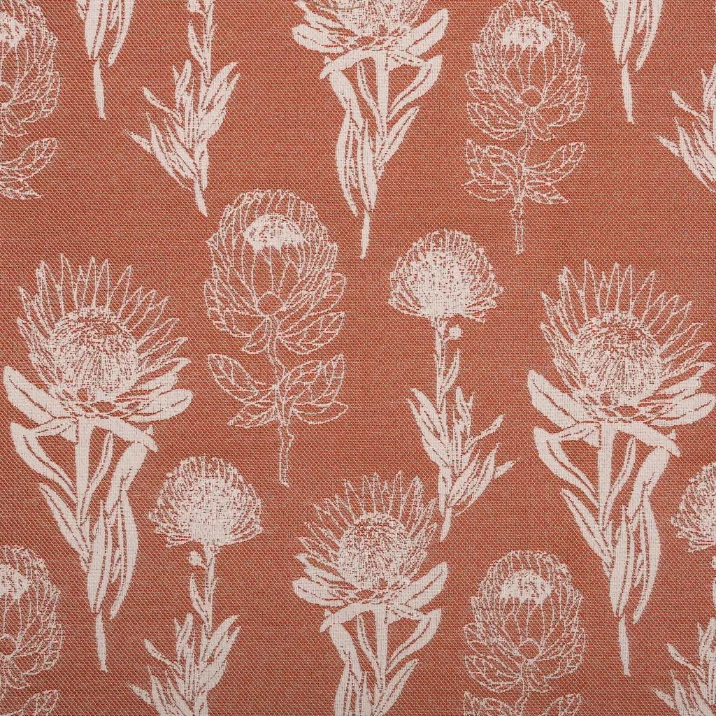 Cape Floral