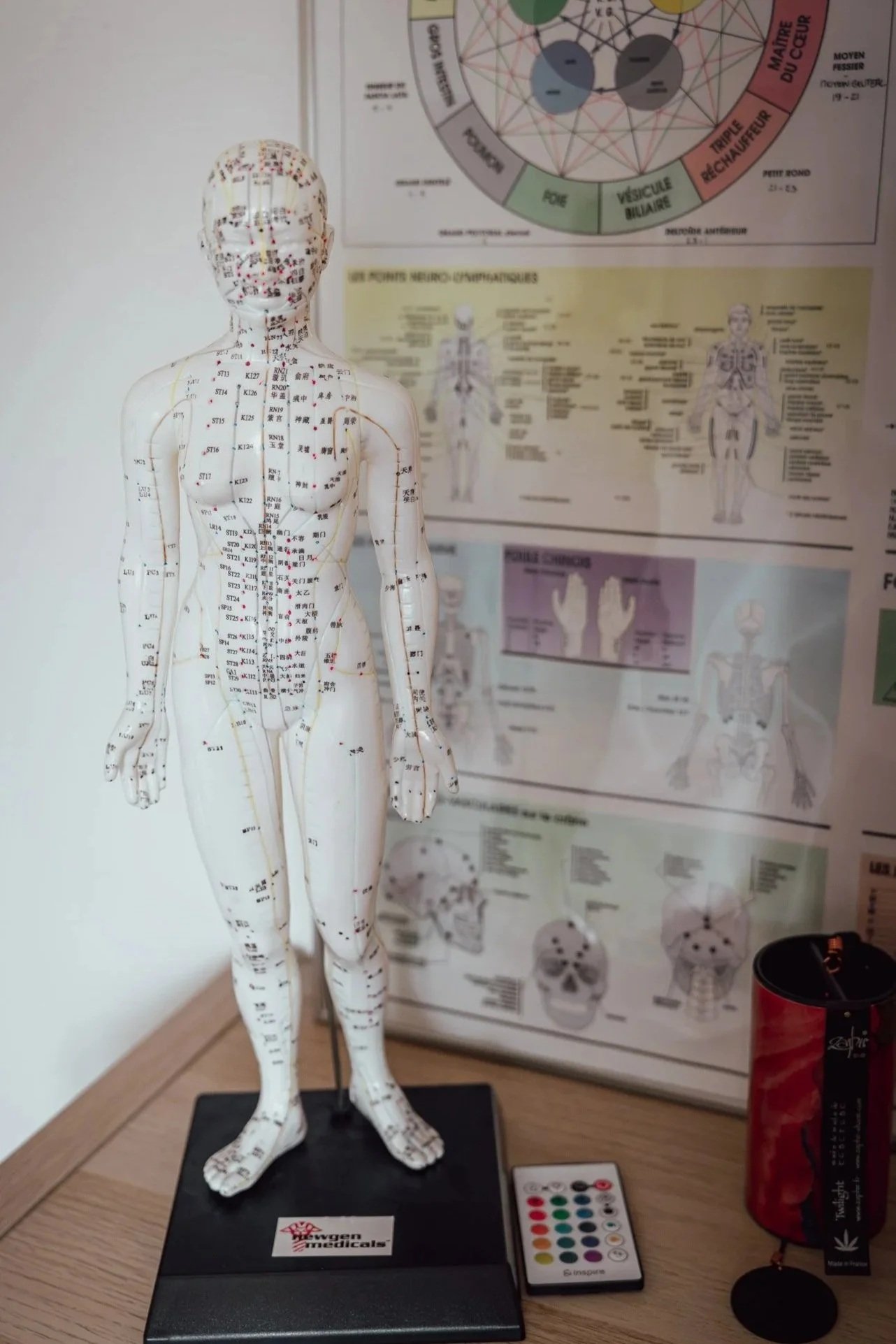 Sur un meuble, mannequin miniature de médecine traditionnelle chinoise, un instrument de musique douce et en fond une affiche montrant des points de thérapie énergétique et des méthodes de santé basées sur la réflexologie et la médecine traditionnell