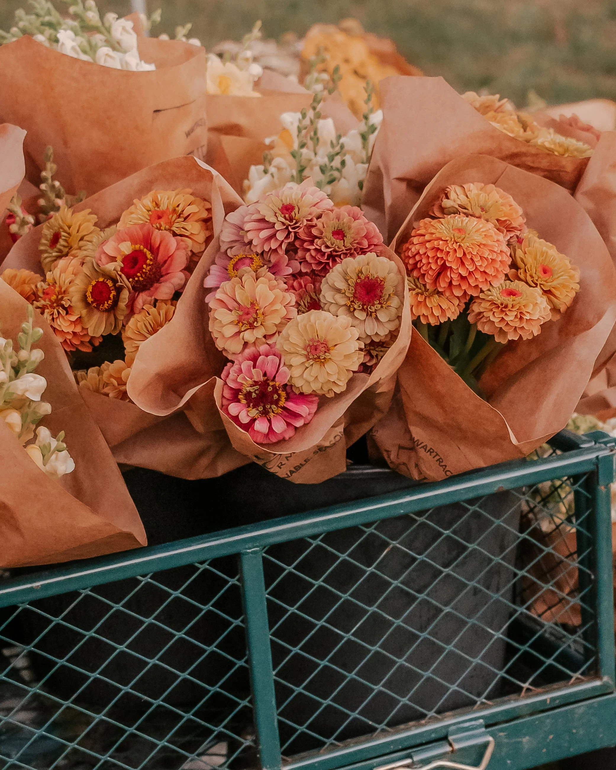 Southernflorafarm-205.jpg