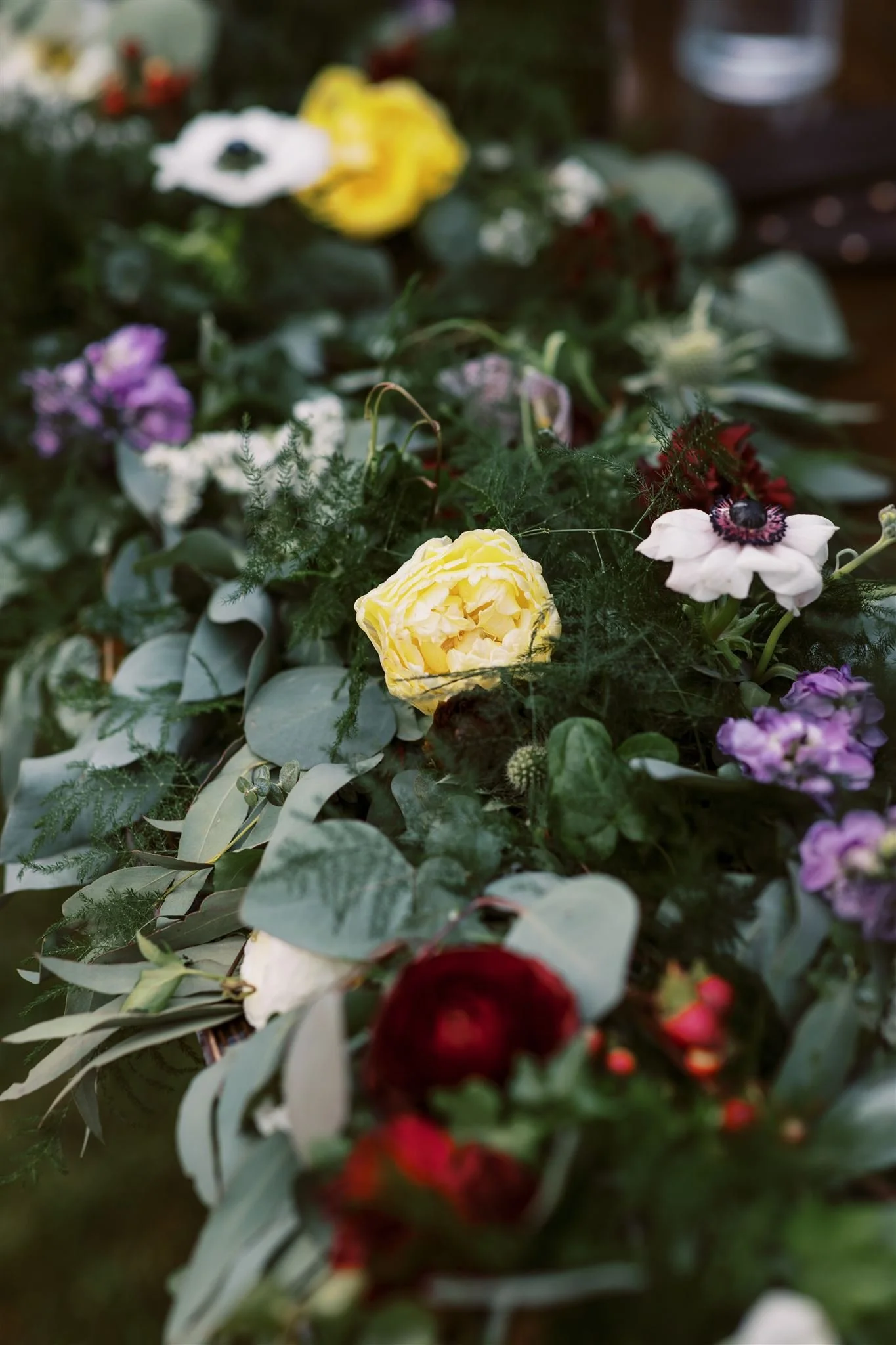 Amanda Kohl Photo-383_websize.jpg