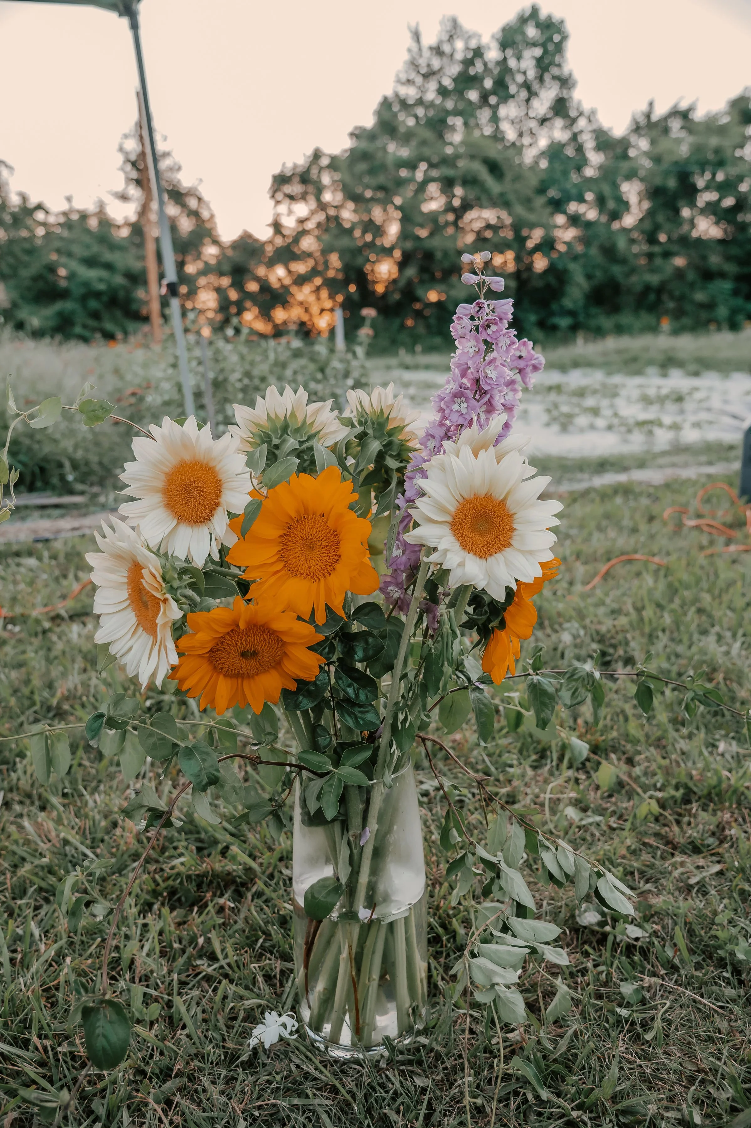 Southernflorafarm-190.jpg