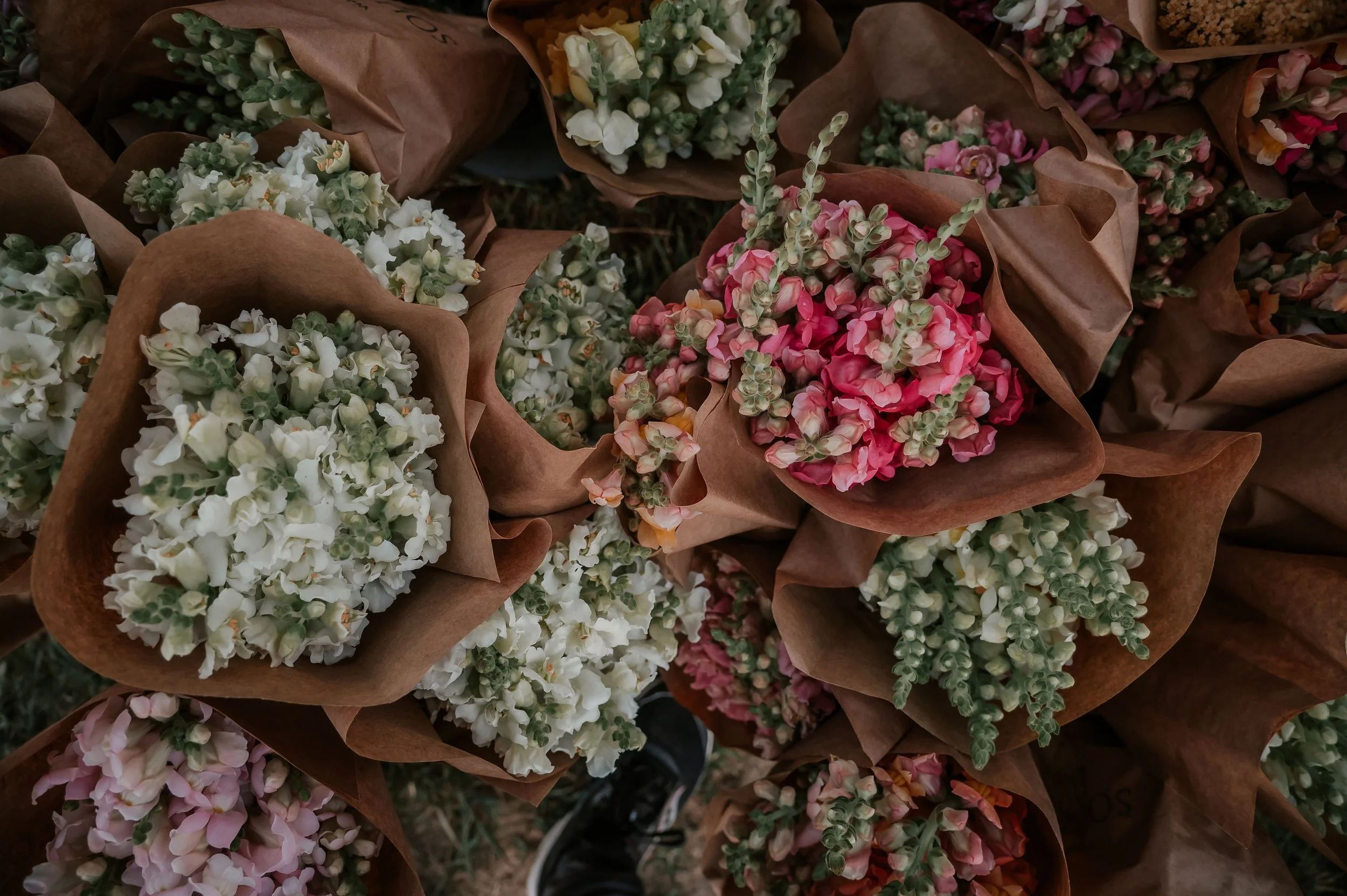Southernflorafarm-192.jpg