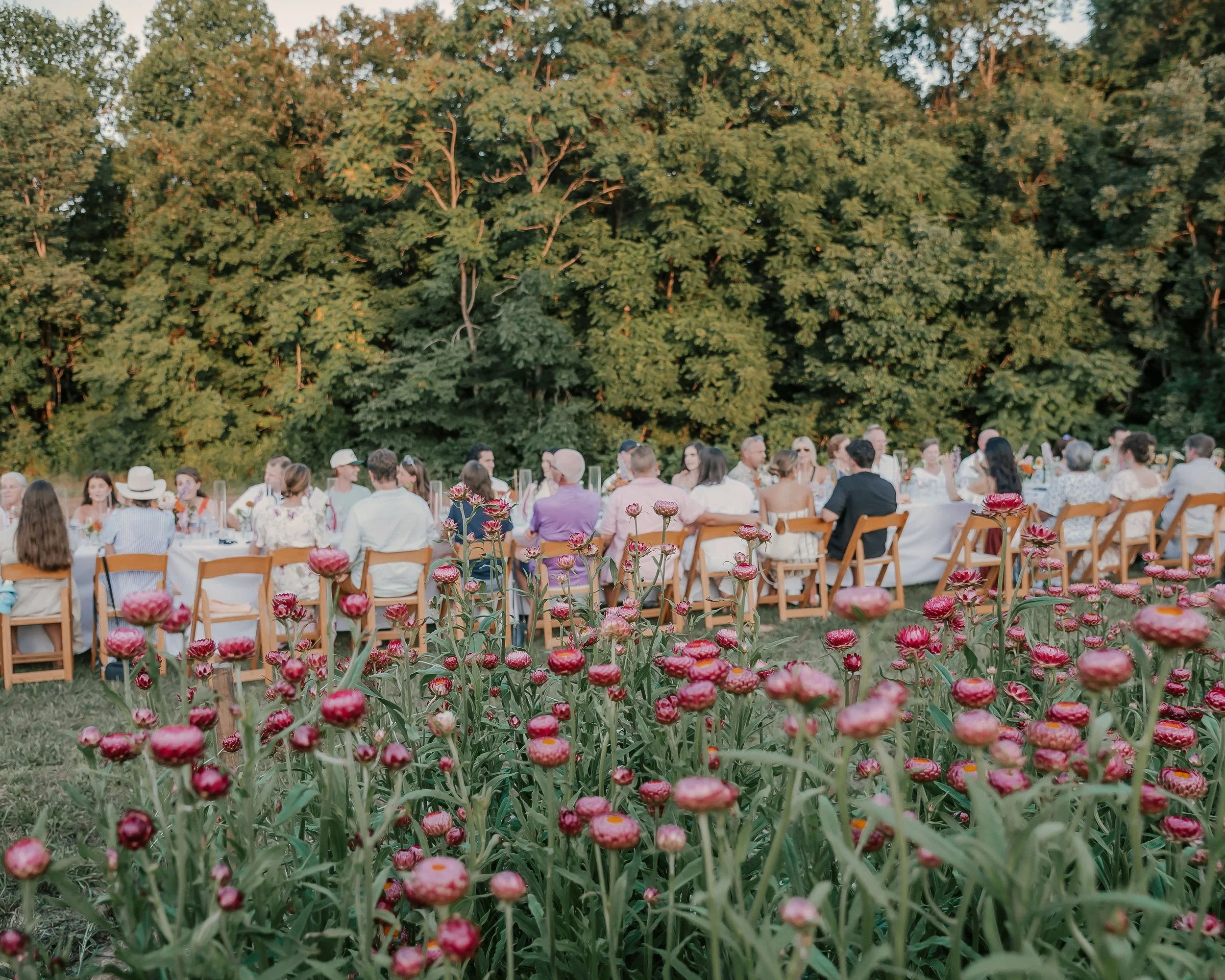 Southernflorafarm-137.jpg