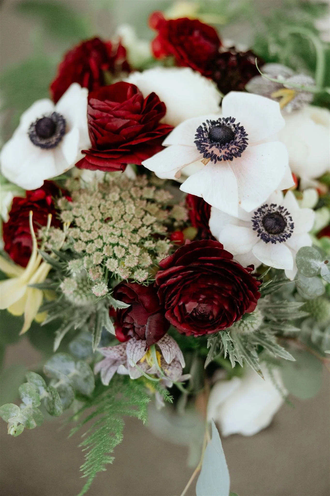 Amanda Kohl Photo-12_websize.jpg