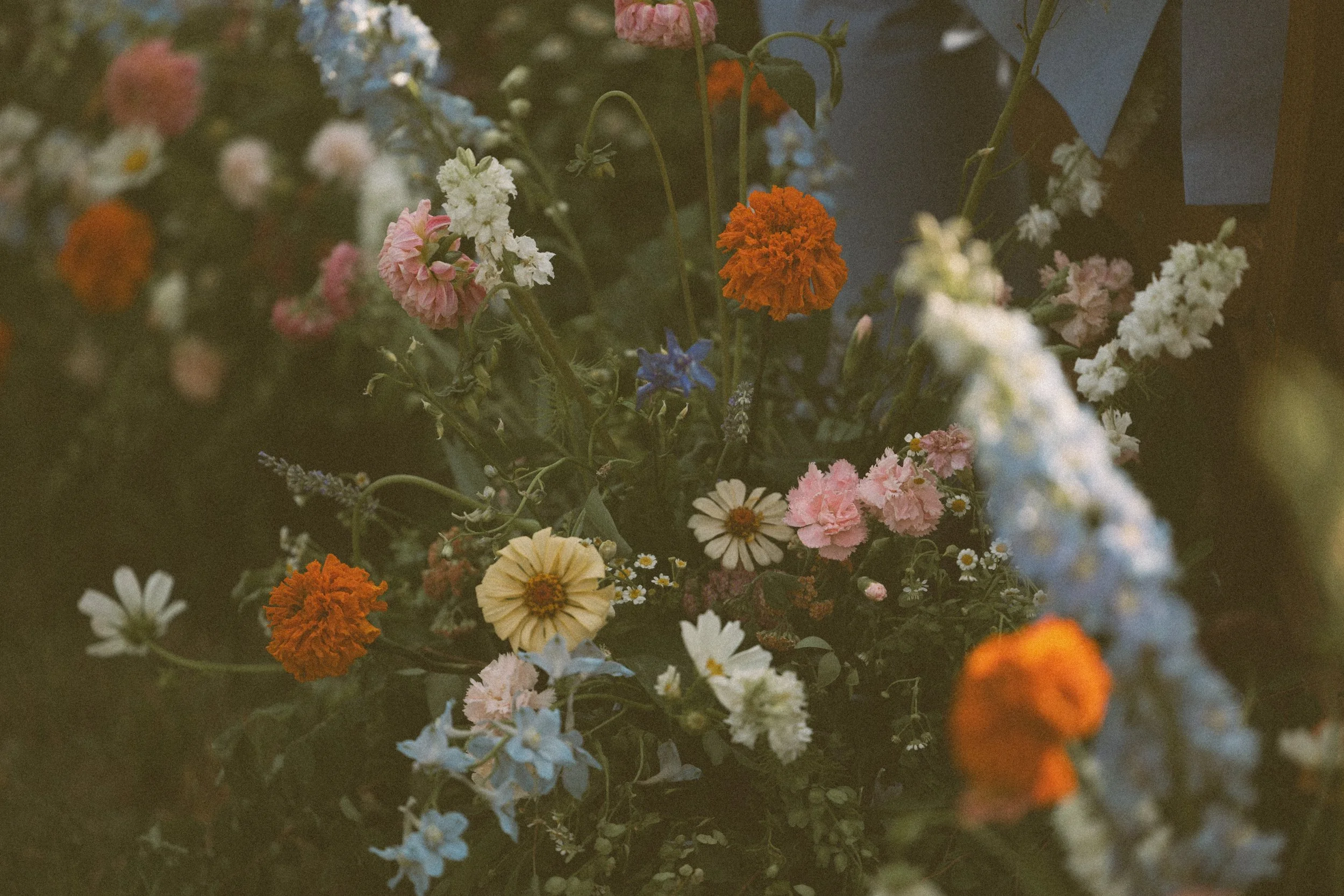 Photography by Kari Tello Photo