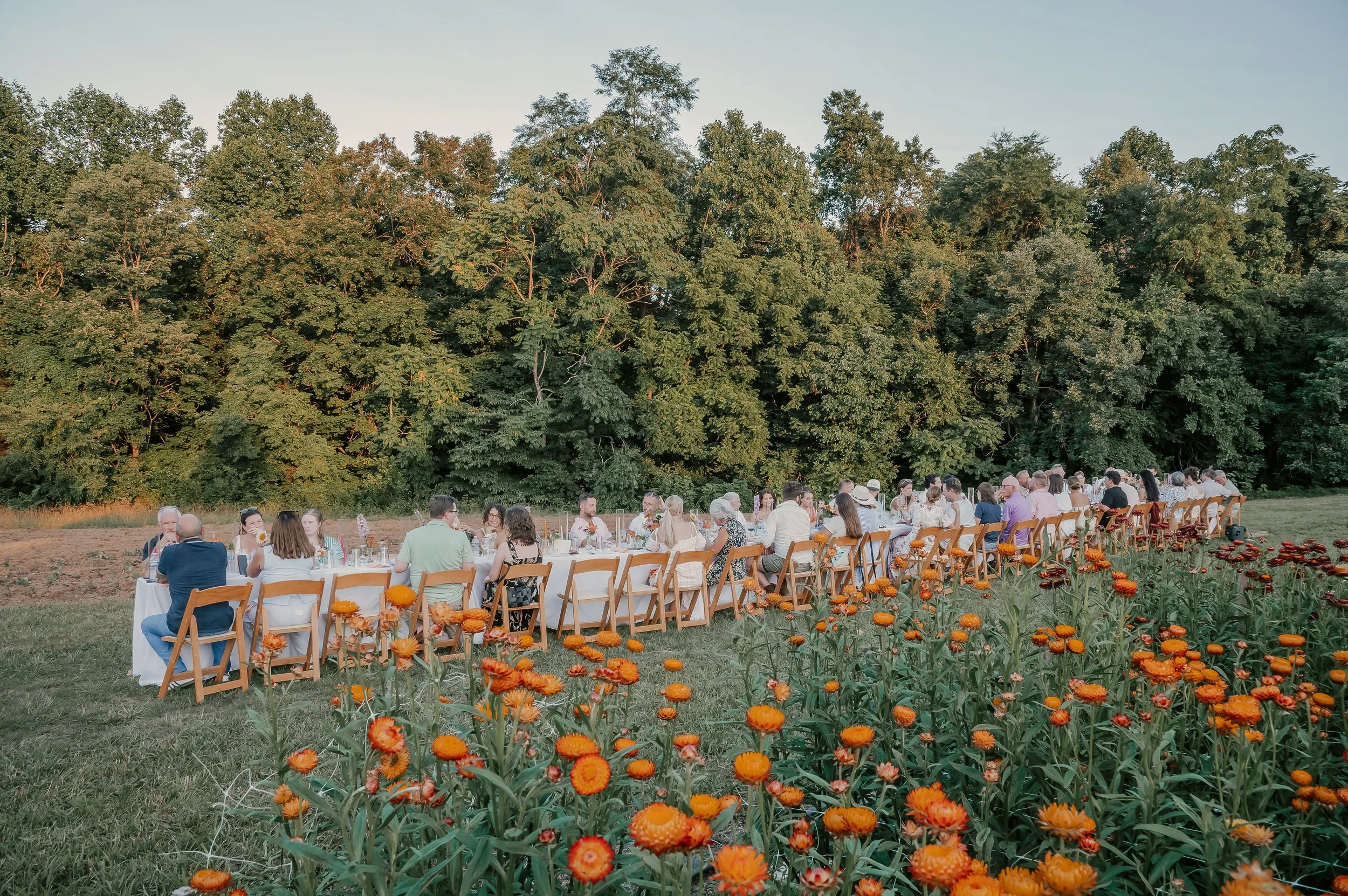 Southernflorafarm-140.jpg