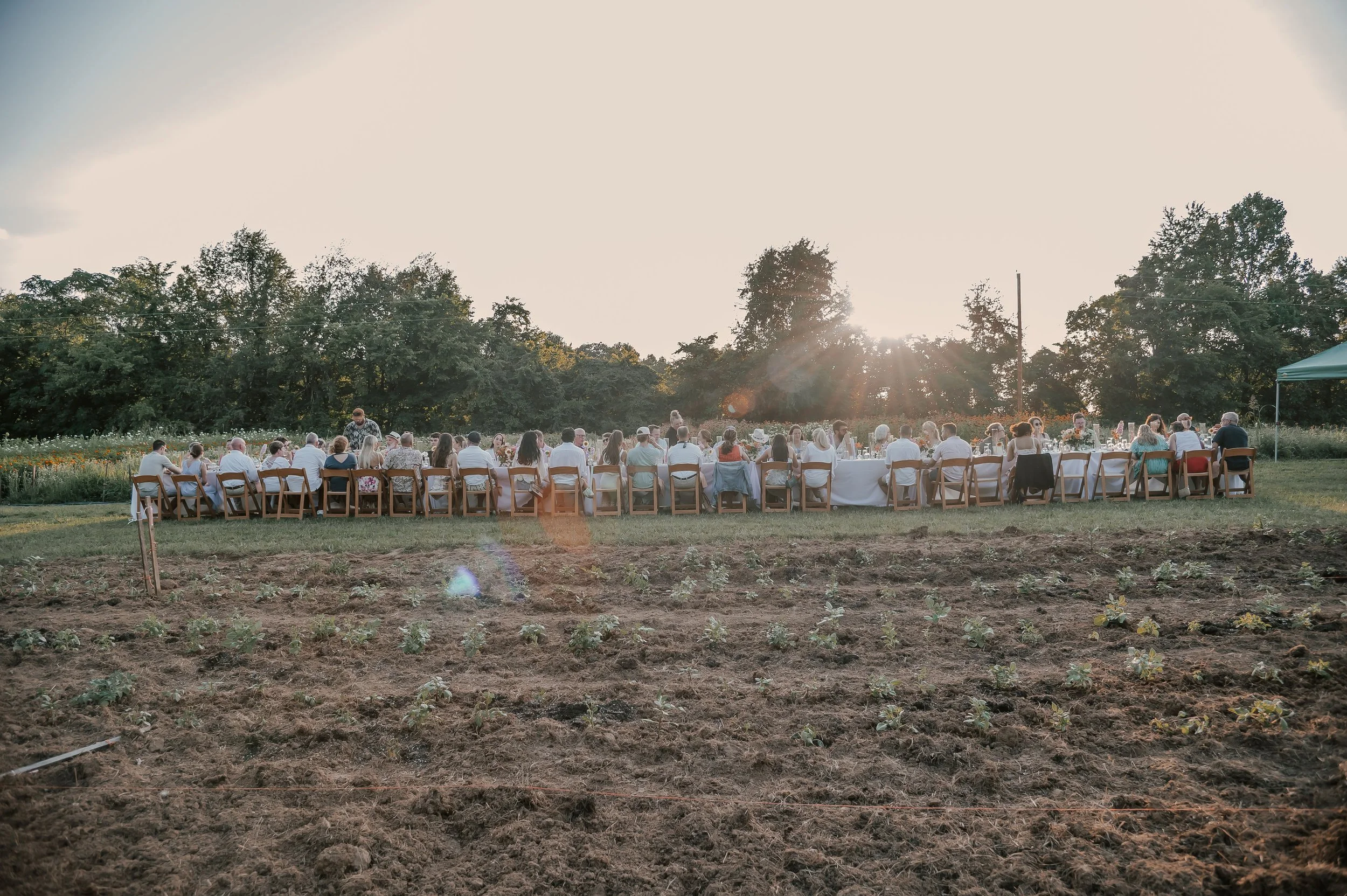 Southernflorafarm-123.jpg