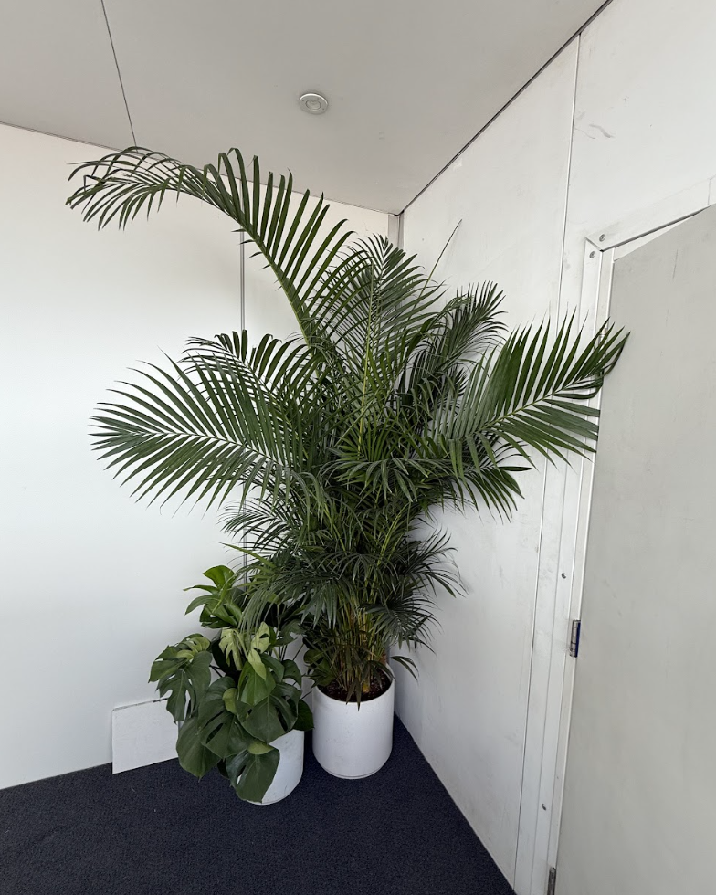 Screenshot 2026-01-08 at 1.47.22 PM.png