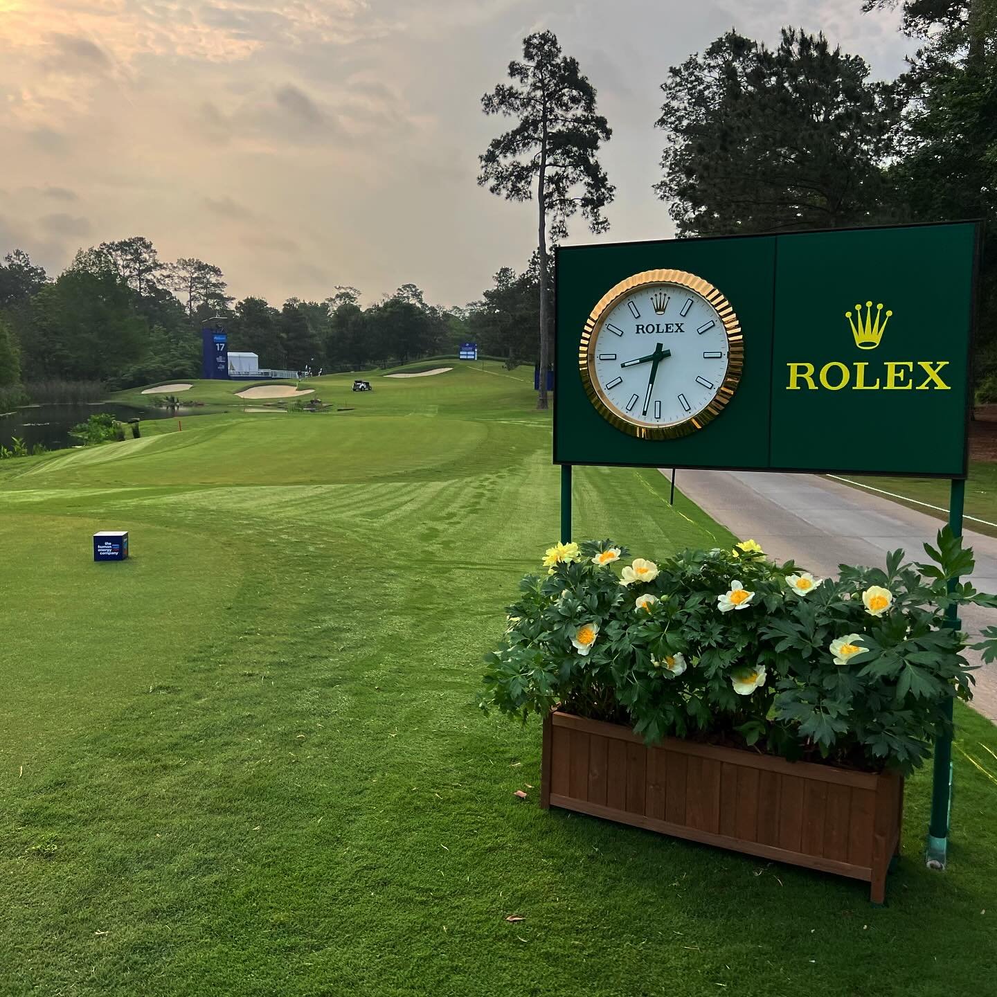 Setting up our peony boxes for the Rolex clocks at The Chevron Golf Tournament. ⛳️

#thrivingbotanicals #lpga #rolex #thechevronchampionship #carltonwoods #thewoodlandstexas #golf #womenssports #texas #tx #golfing #plantdesign #floraldesign #floral #