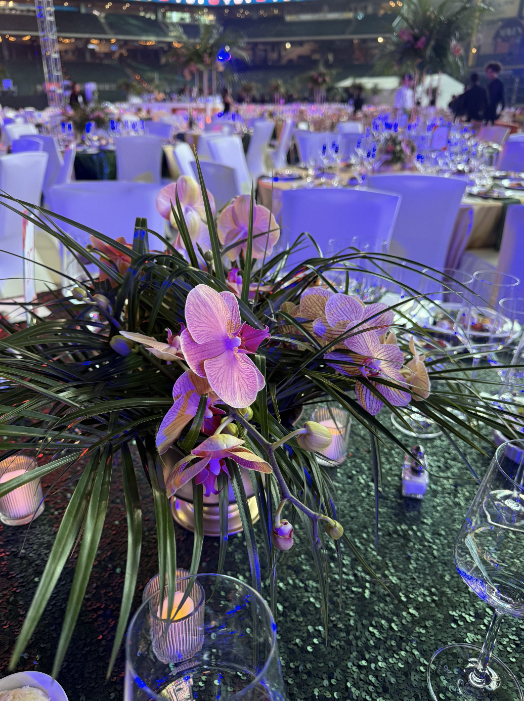 Screenshot 2026-01-09 at 1.08.45 PM.png