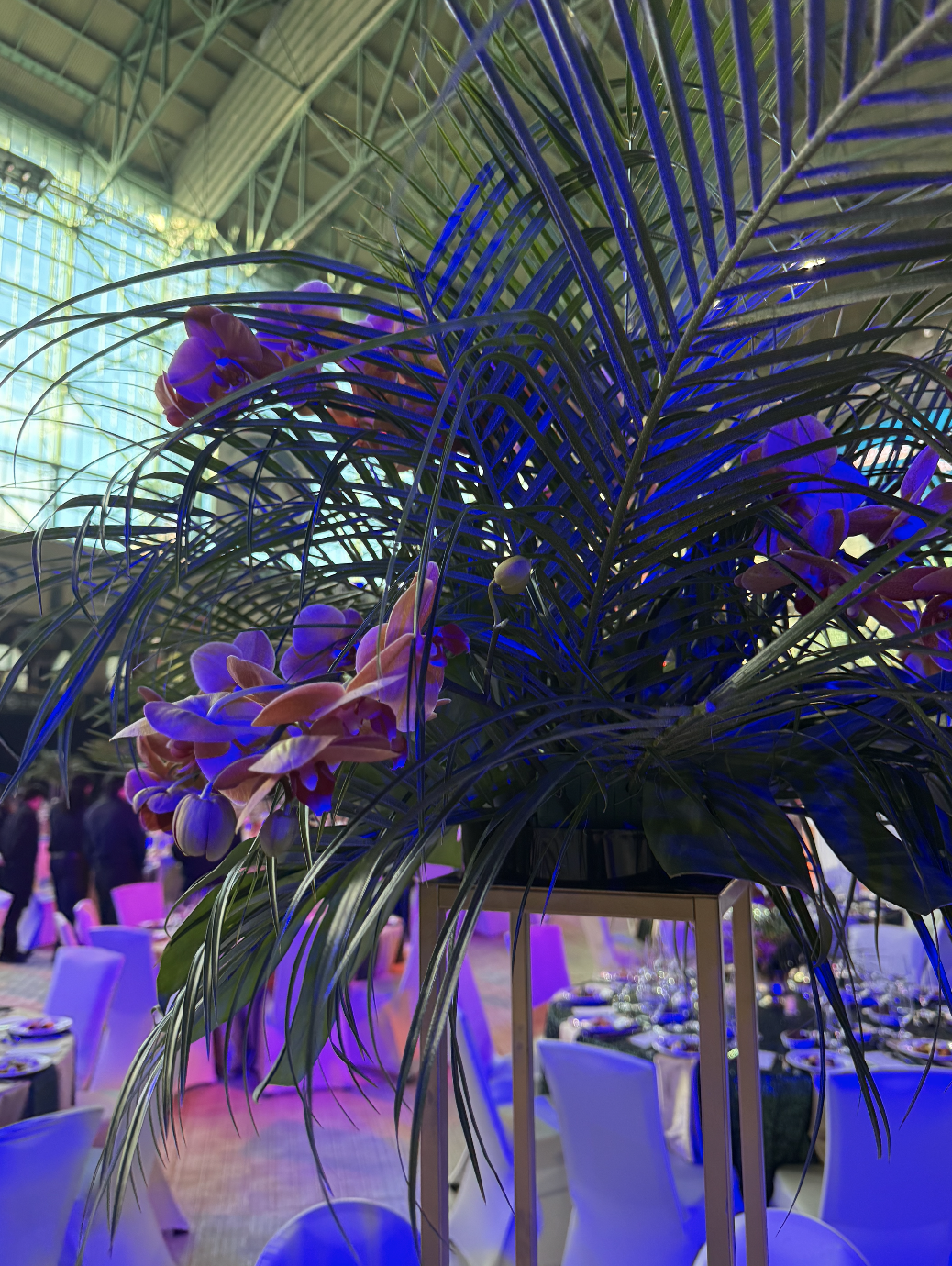 Screenshot 2026-01-09 at 1.09.27 PM.png