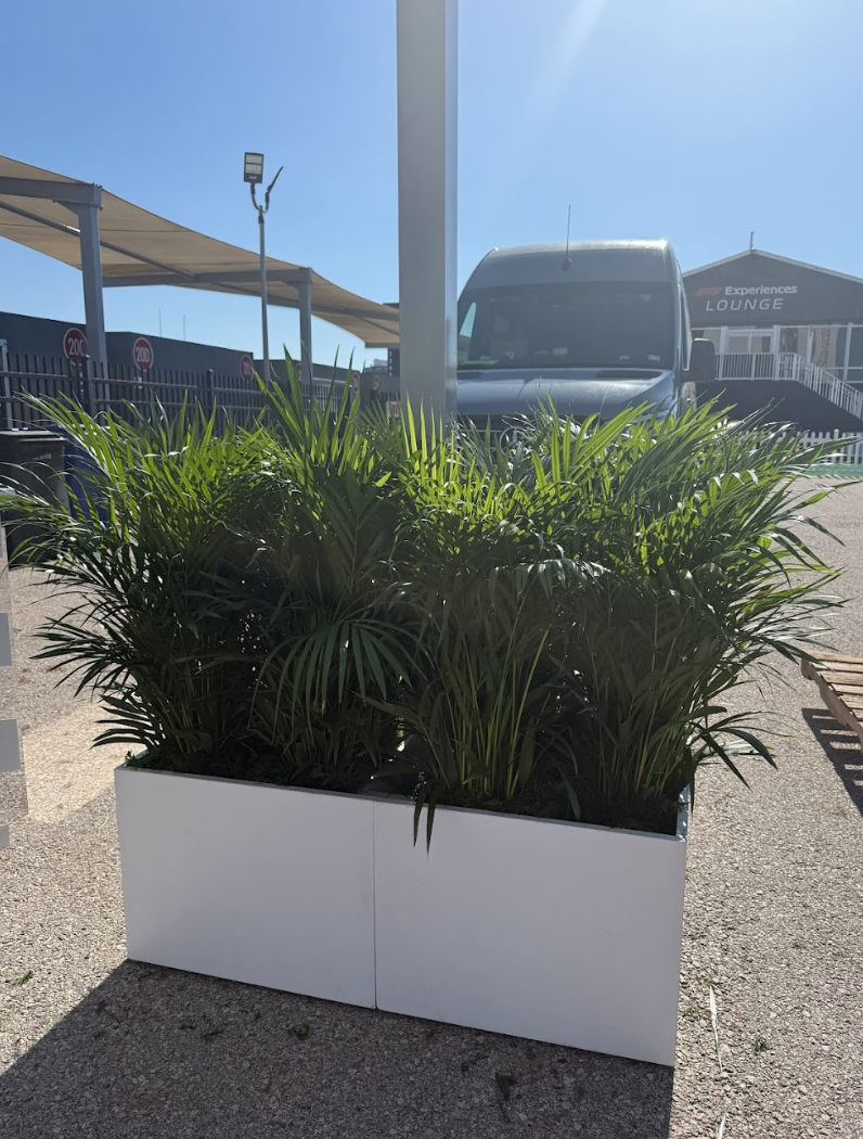 Screenshot 2026-01-08 at 1.50.28 PM.png