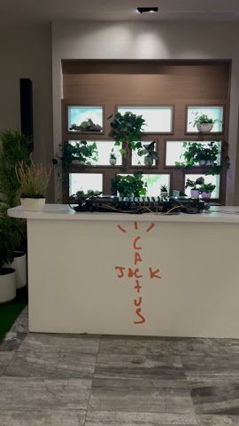 unnamed-29 1.29.29 PM.jpg