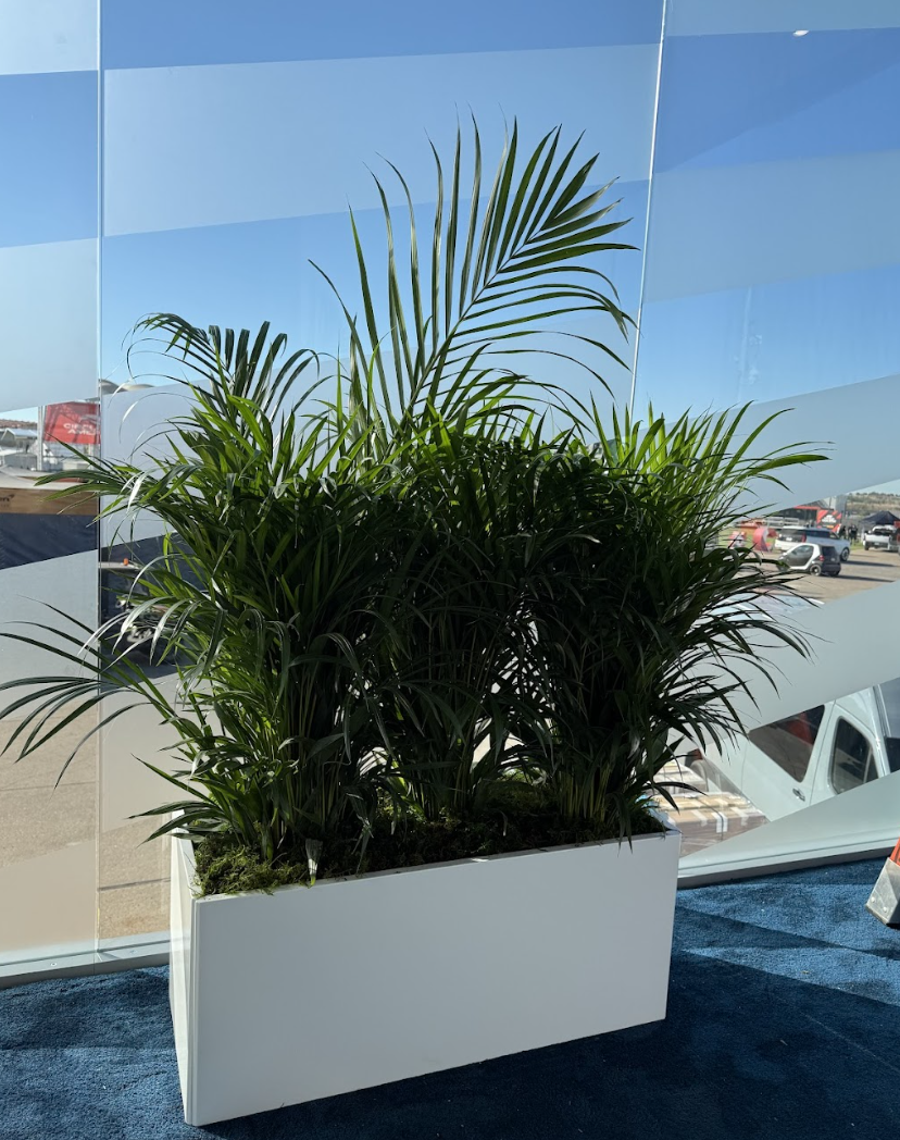 Screenshot 2026-01-08 at 1.50.13 PM.png